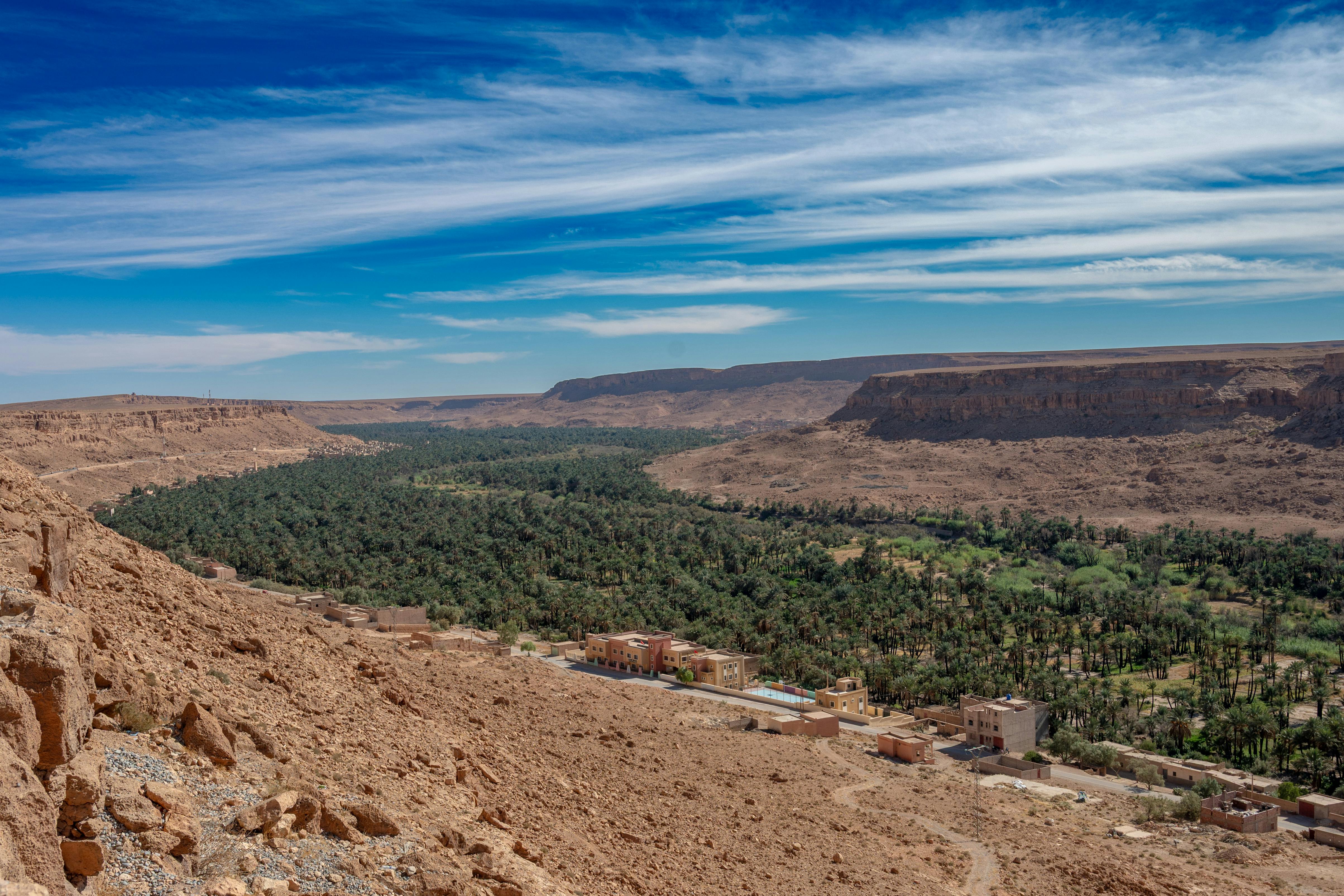 Draa Valley palmeraie — Zagora
