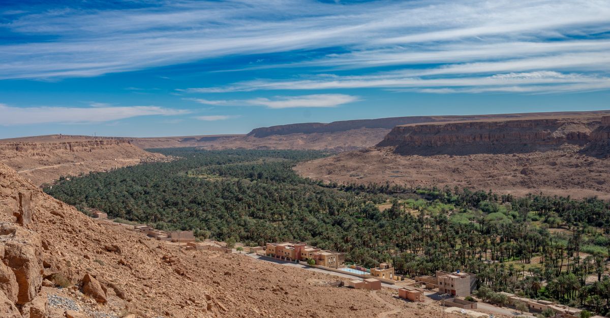 Lush palm oasis in the Ziz Valley of Morocco, viewed from above on the final day of the Merzouga to Fes desert tour