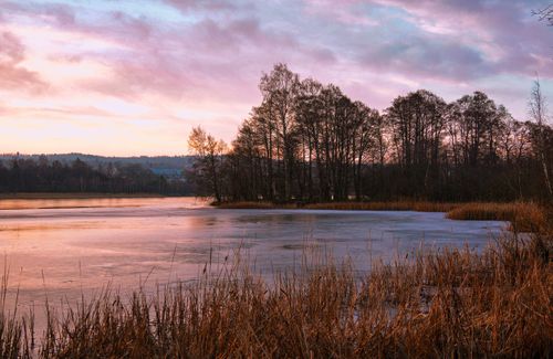 Free Calm winter evening by a frozen lake with trees under a colorful sunset sky. Stock Photo