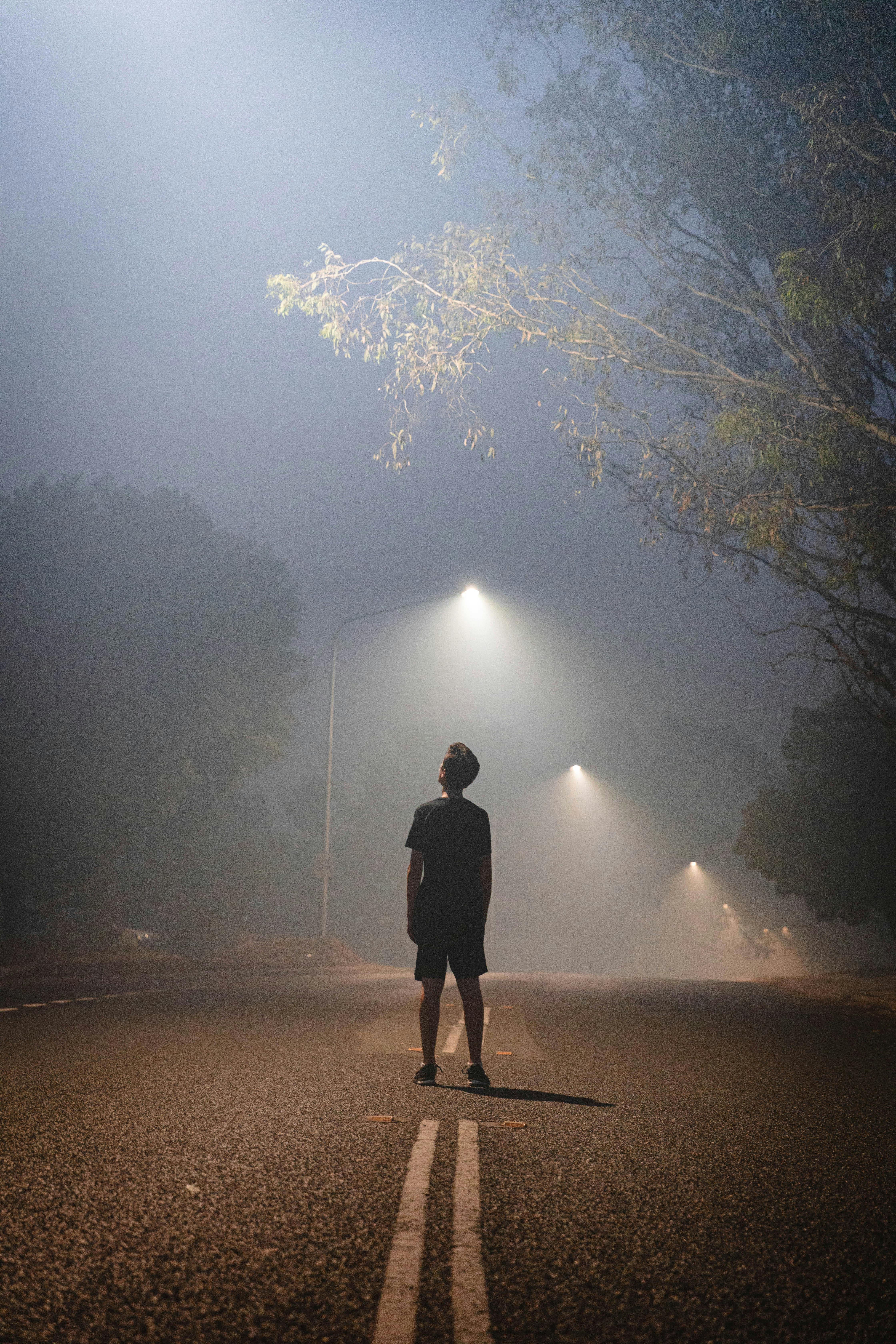 雾蒙蒙的道路上，一个孤独的身影站在路灯下，周围树木笼罩在雾中，灯光闪烁