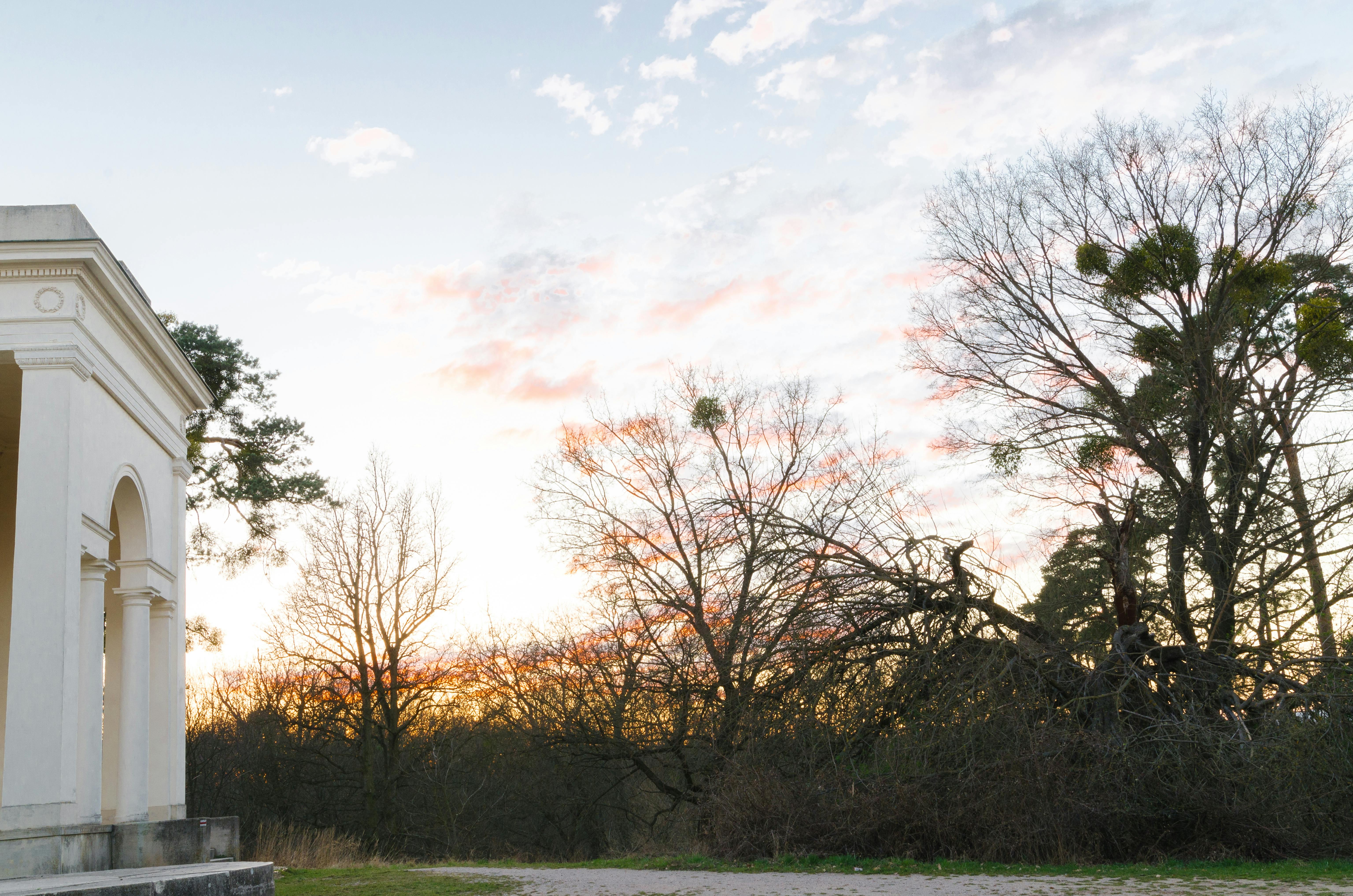 黎明时分，莱德尼斯-瓦尔蒂斯公园内，美丽的历史建筑被树木环绕，天空五彩缤纷