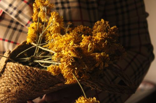 Free Warm image of yellow flowers in a woven basket against a plaid backdrop. Stock Photo