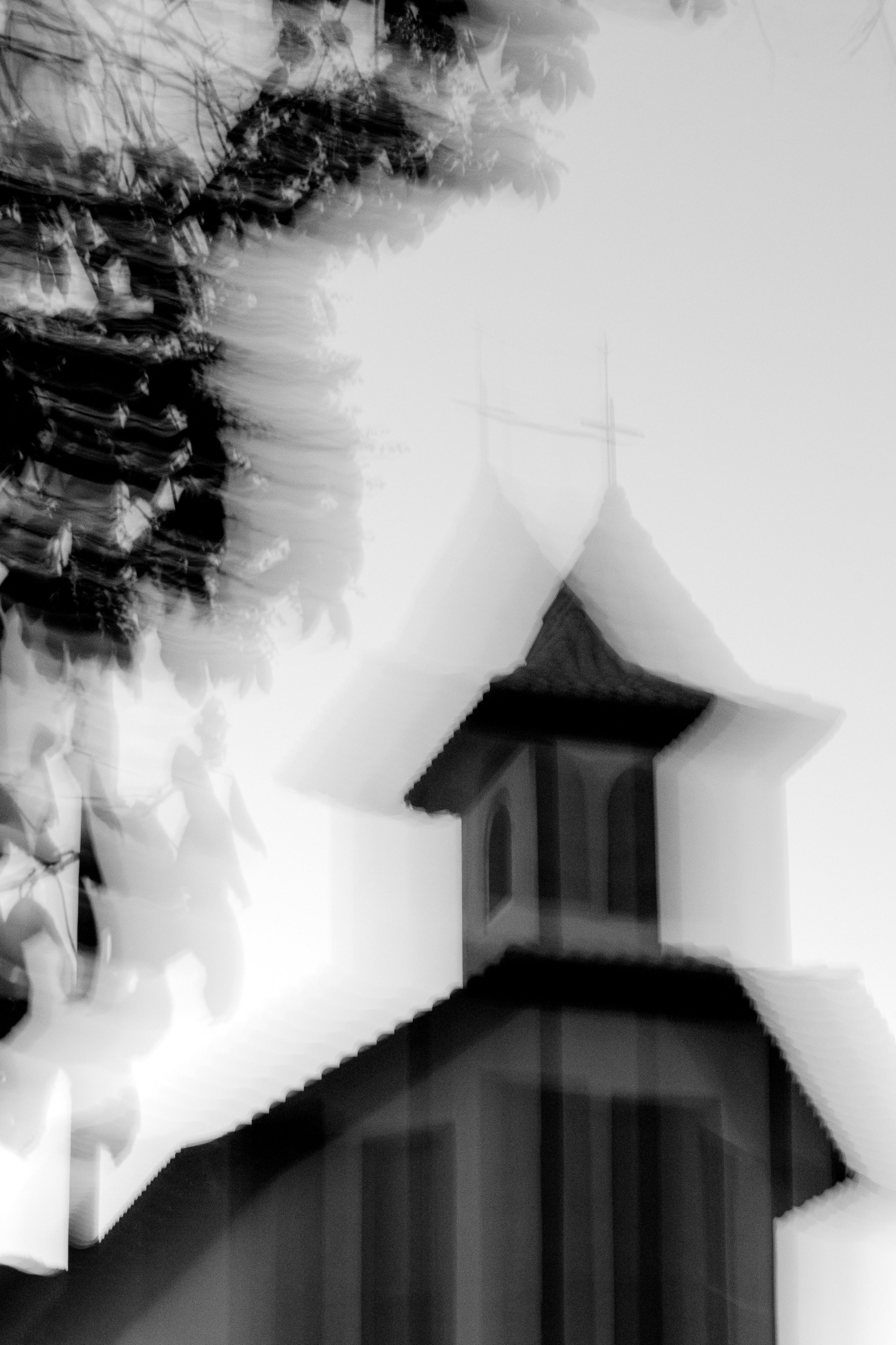 grátis Fachada surreal e desfocada de uma igreja em preto e branco, com folhas de árvores. Foto profissional