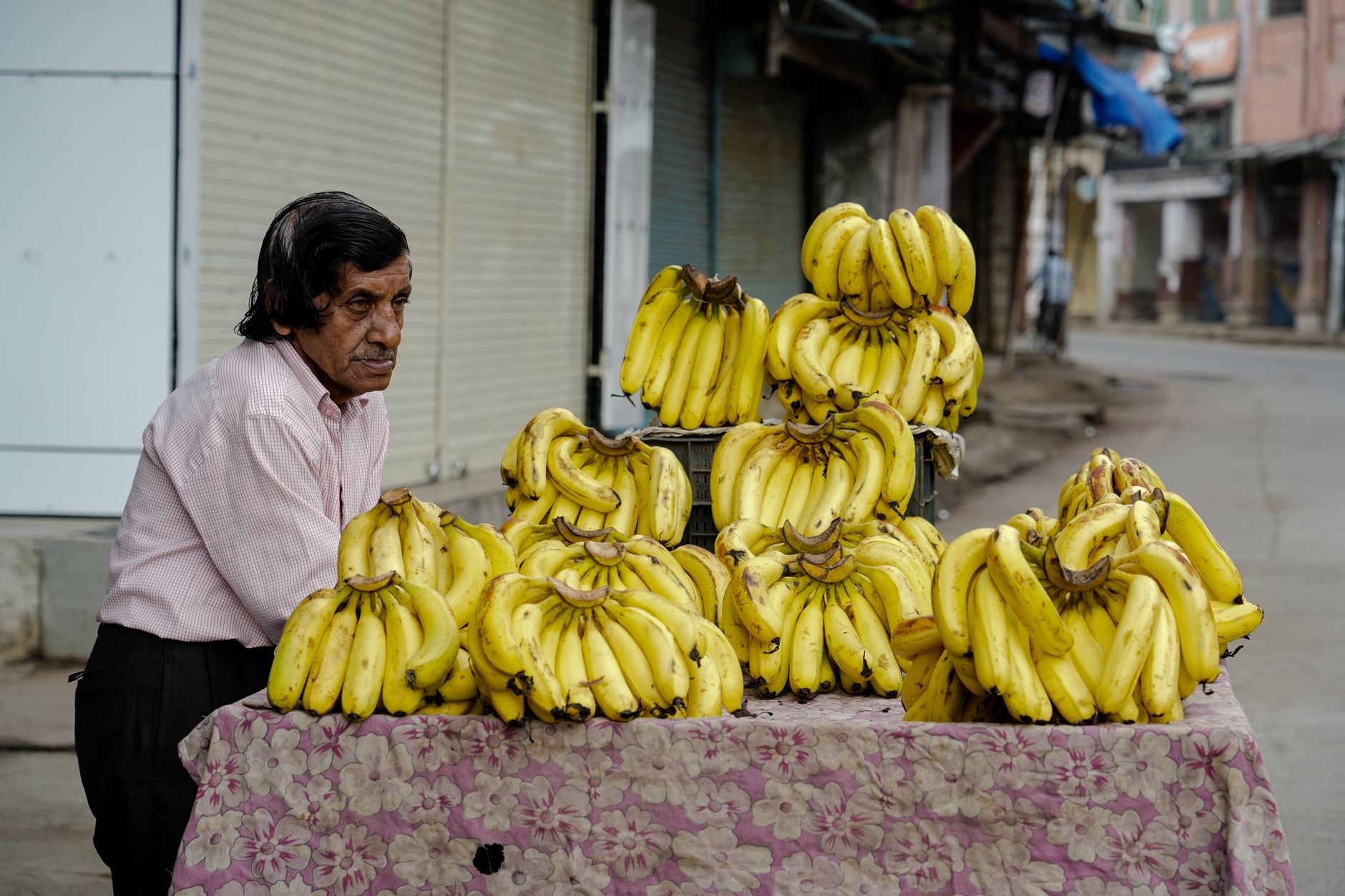 Indore travel and vehicle rental photo 1