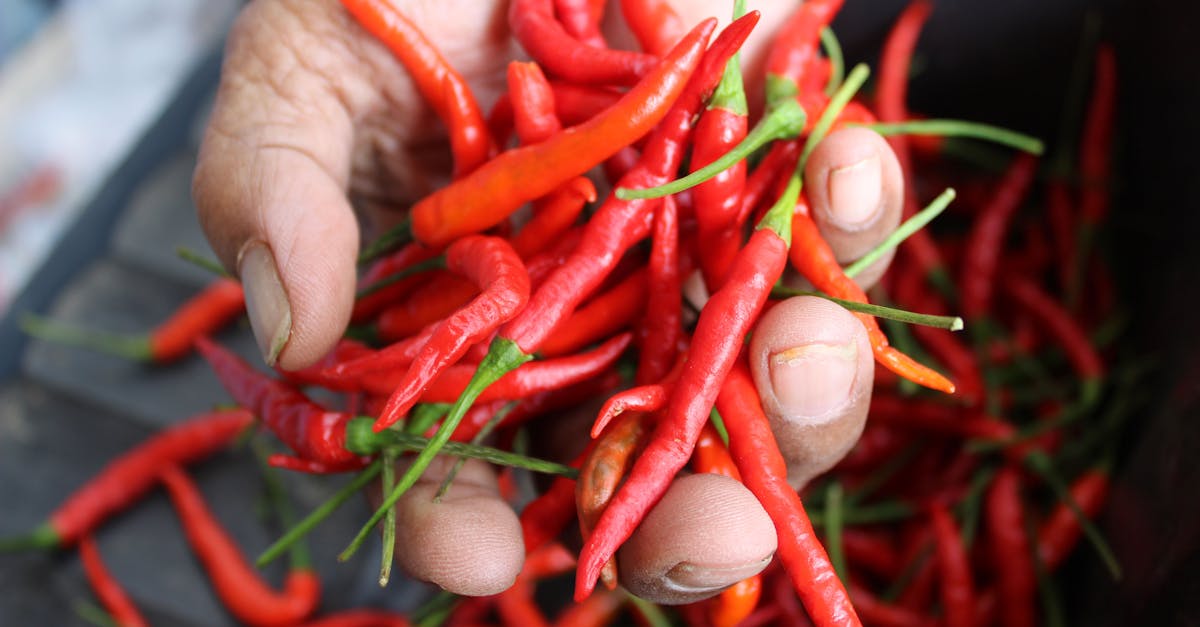Free stock photo of chili pepper, red chili, spicy