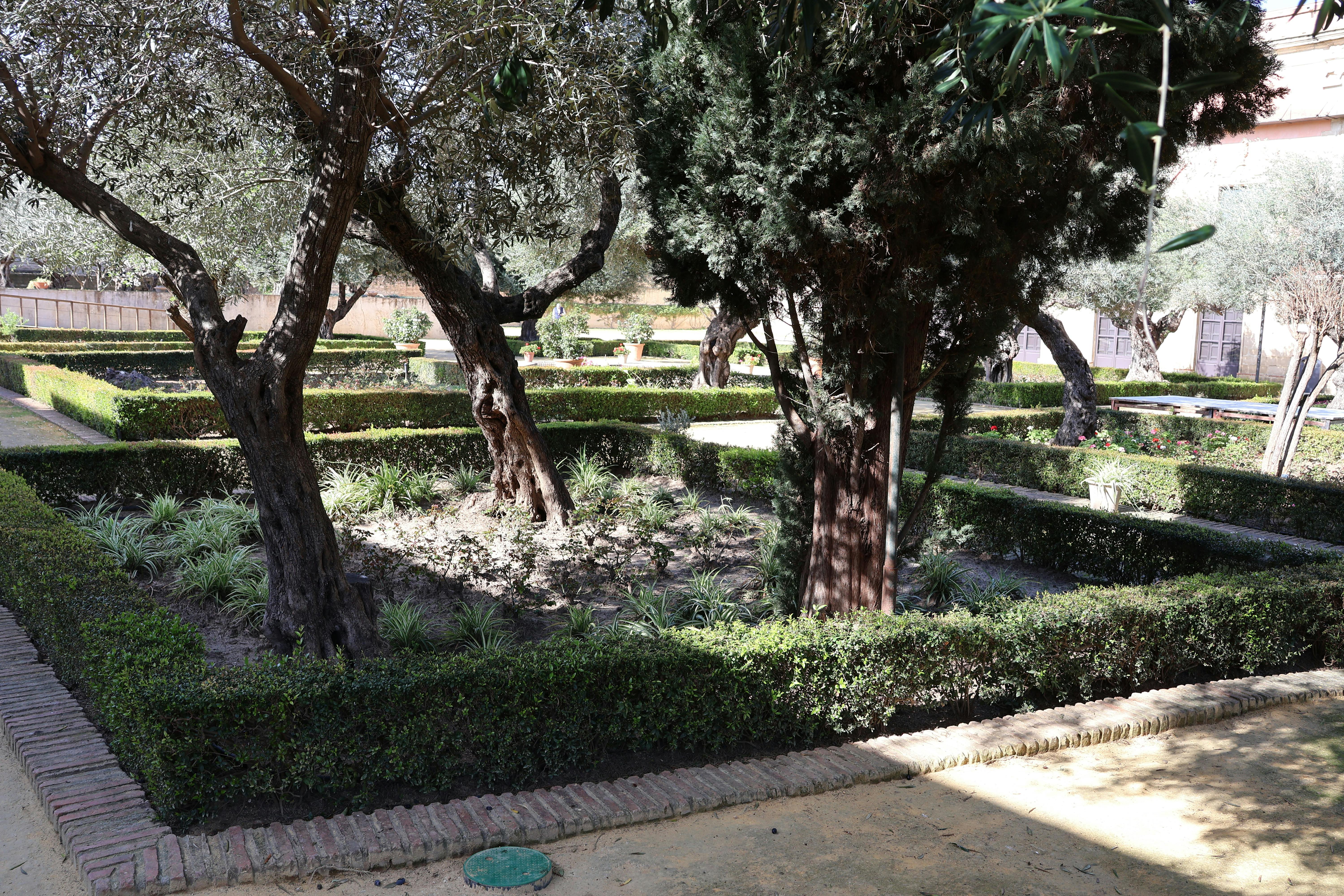 especies vegetales se reparten por el jardín