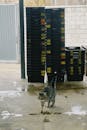 Tabby Cat Strolling in Industrial Area