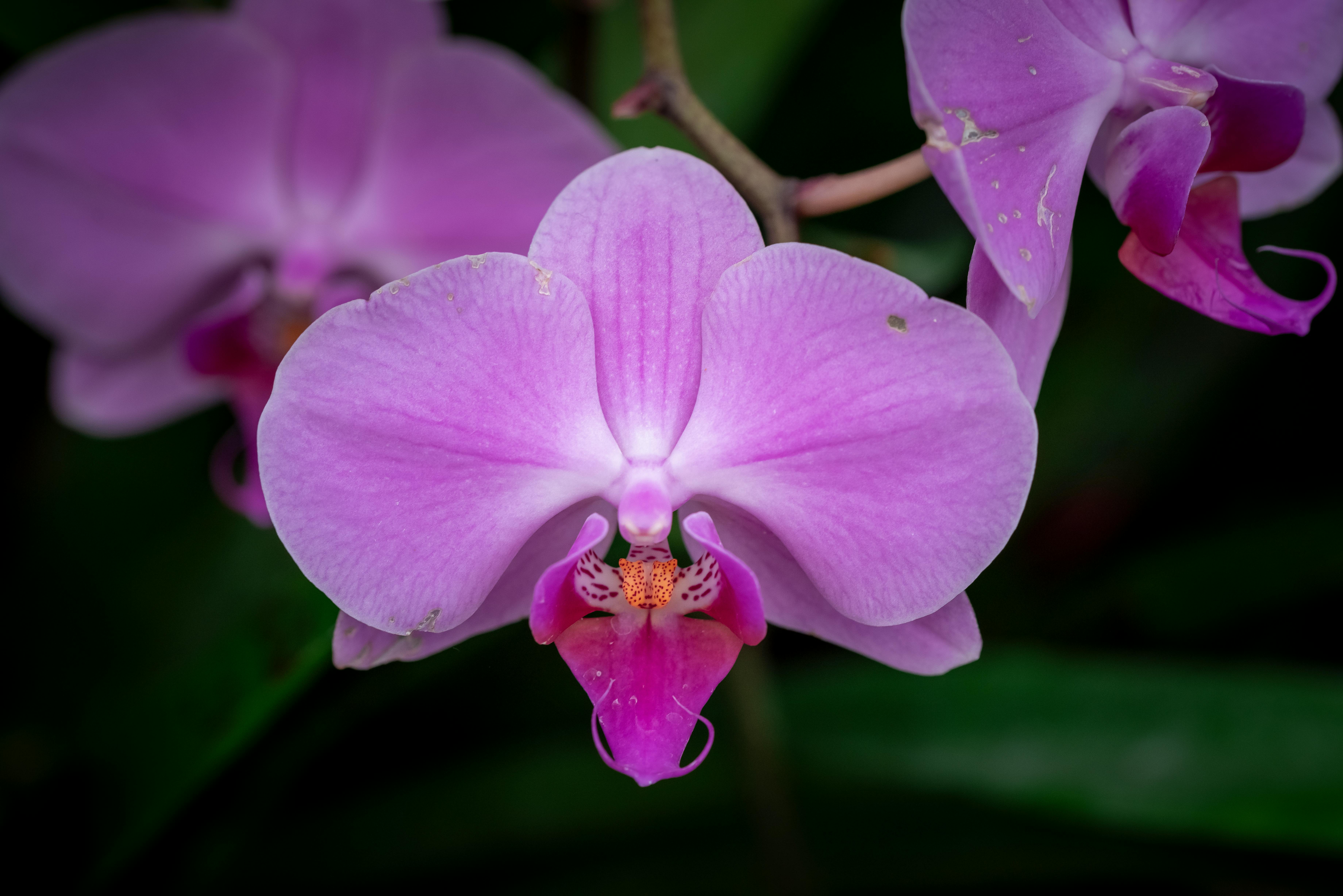 Landmarks in Fraser Valley