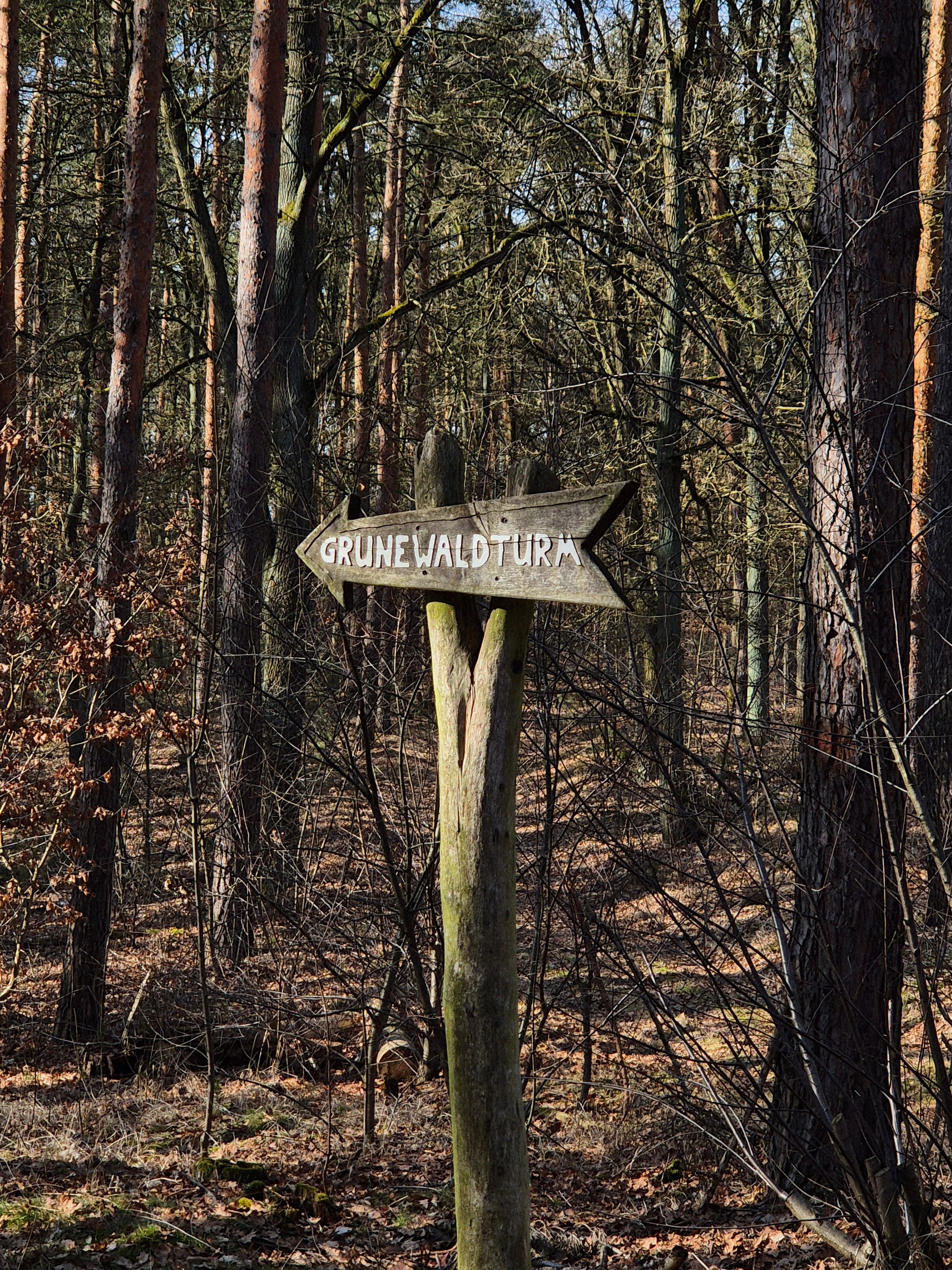 Woodland footpath with signpost pointing to Grunewaldturm tower in Berlin Grunewald forest, Germany