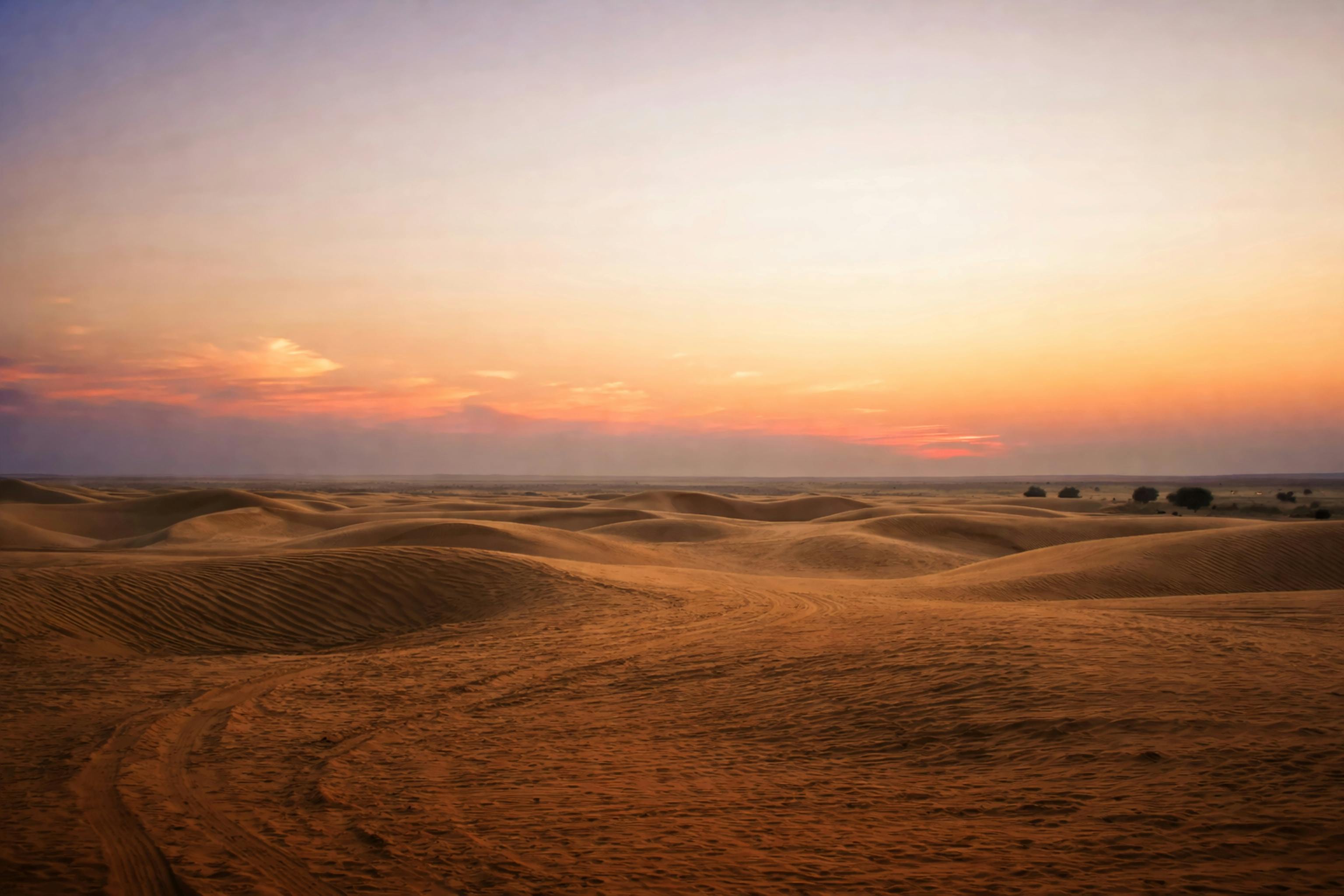 Thar Desert
