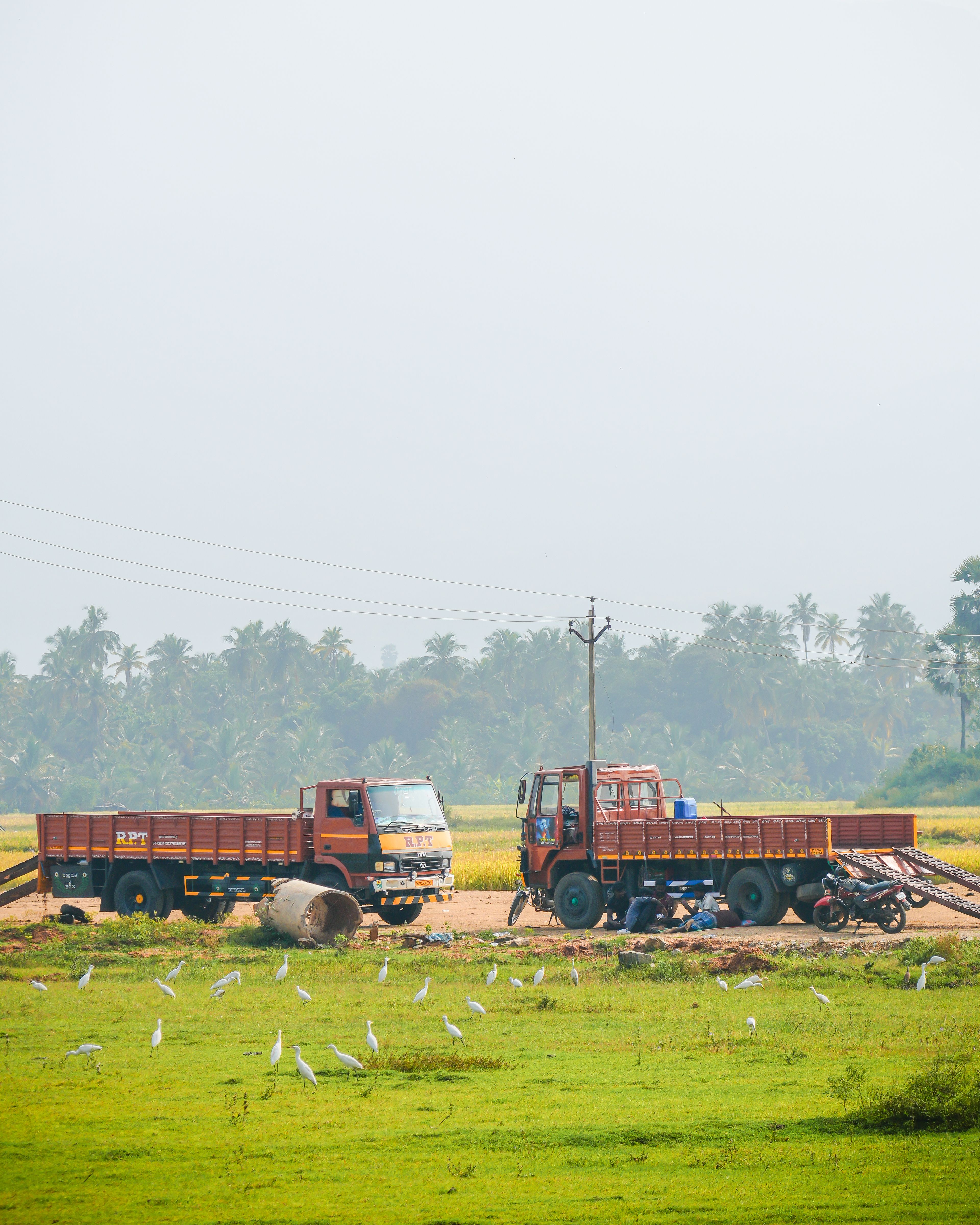 Trucks parked in a field in Tamil Nadu