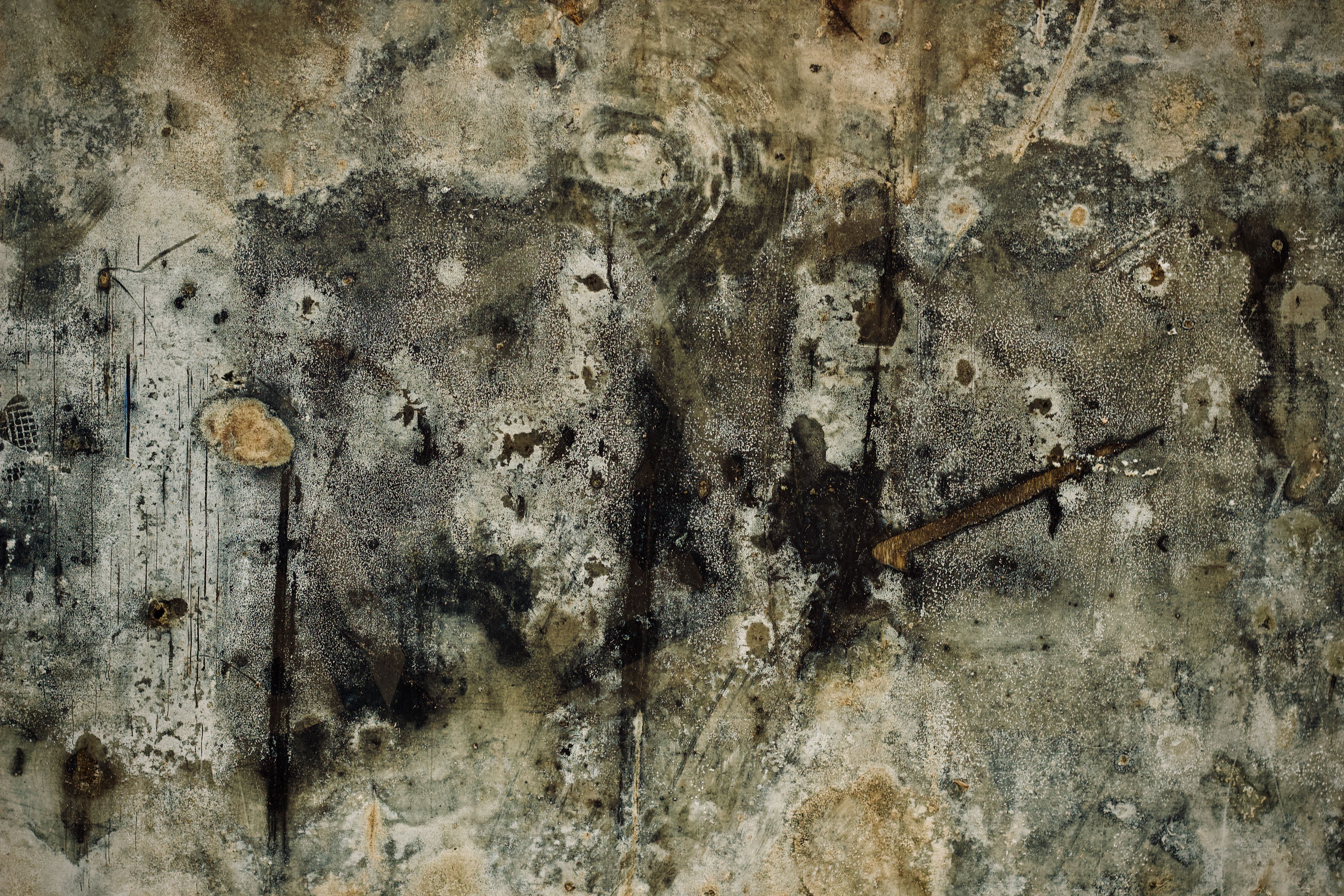 Residential Mold Remediation