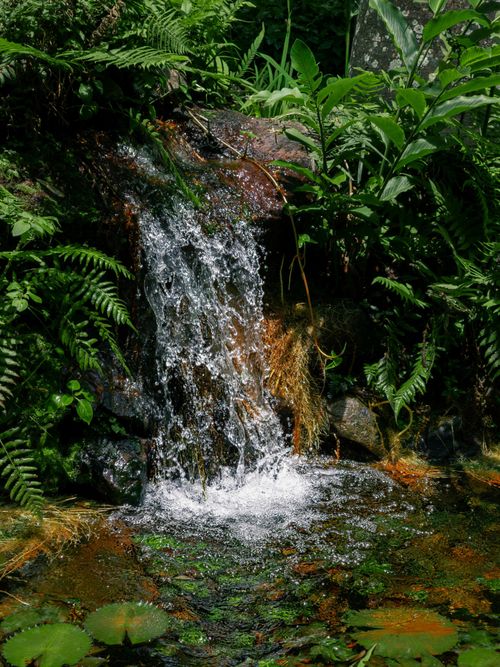 Free A serene waterfall cascades over rocks surrounded by lush green foliage in a Brazilian forest. Stock Photo