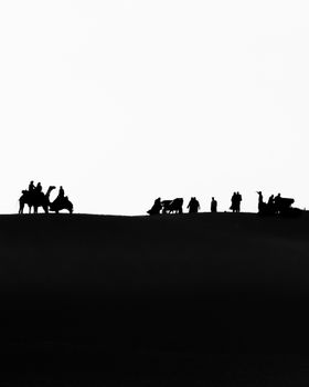 Silhouette of a camel caravan crossing the Egyptian desert, creating an iconic scene.