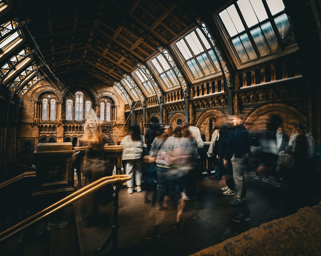 Visitors moving through a lamplit museum hall — Hasan Lütfü Örsdemir on Pexels