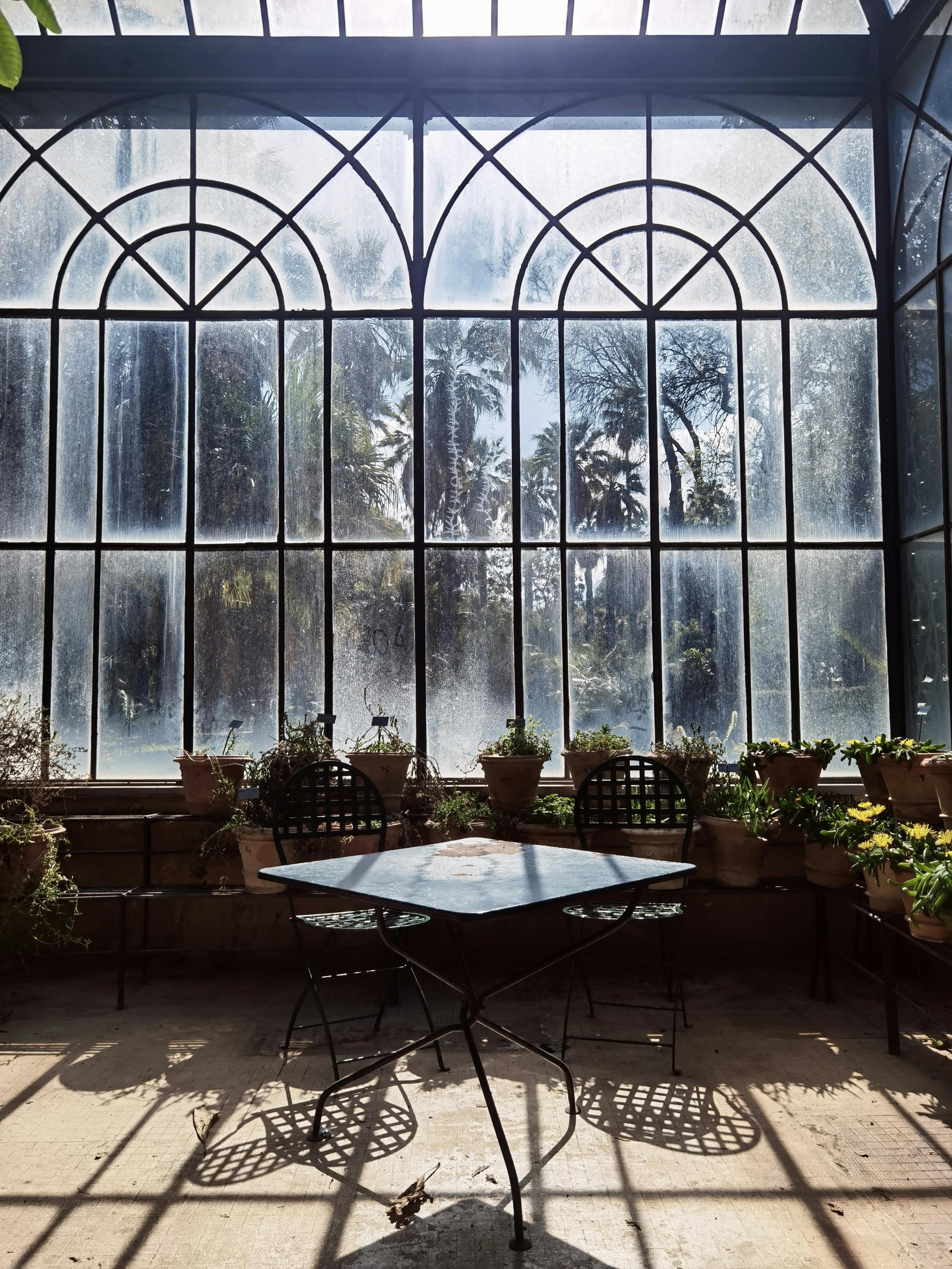 бесплатная Залитая солнцем оранжерея с растениями в горшках и железной мебелью создает безмятежную атмосферу. Стоковое фото