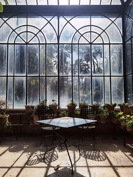 A sunlit conservatory with potted plants and iron furniture creates a serene atmosphere.