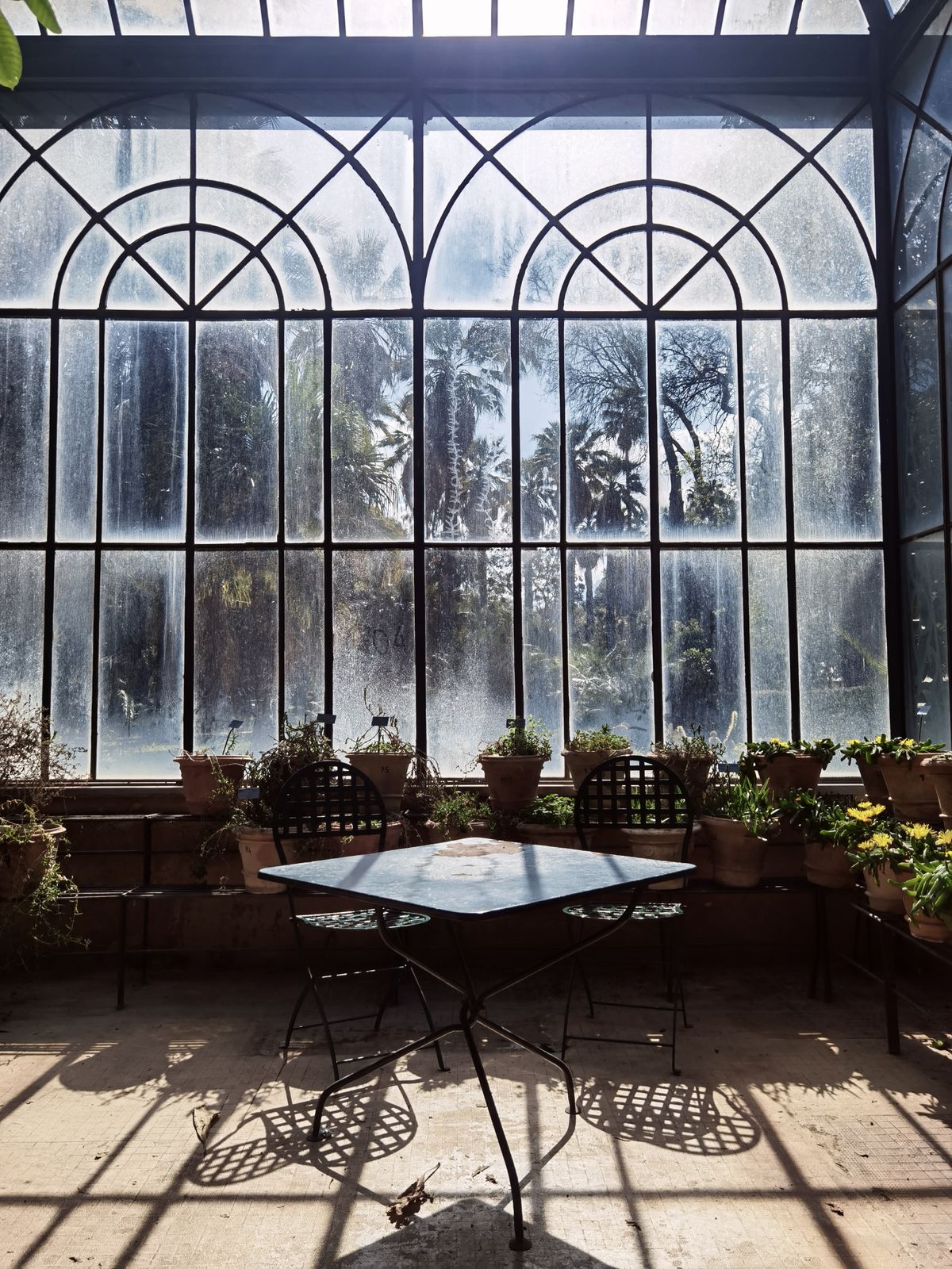 Sonniger Kaltwintergarten mit Topfpflanzen und Eisenmöbeln, einfache Verglasung