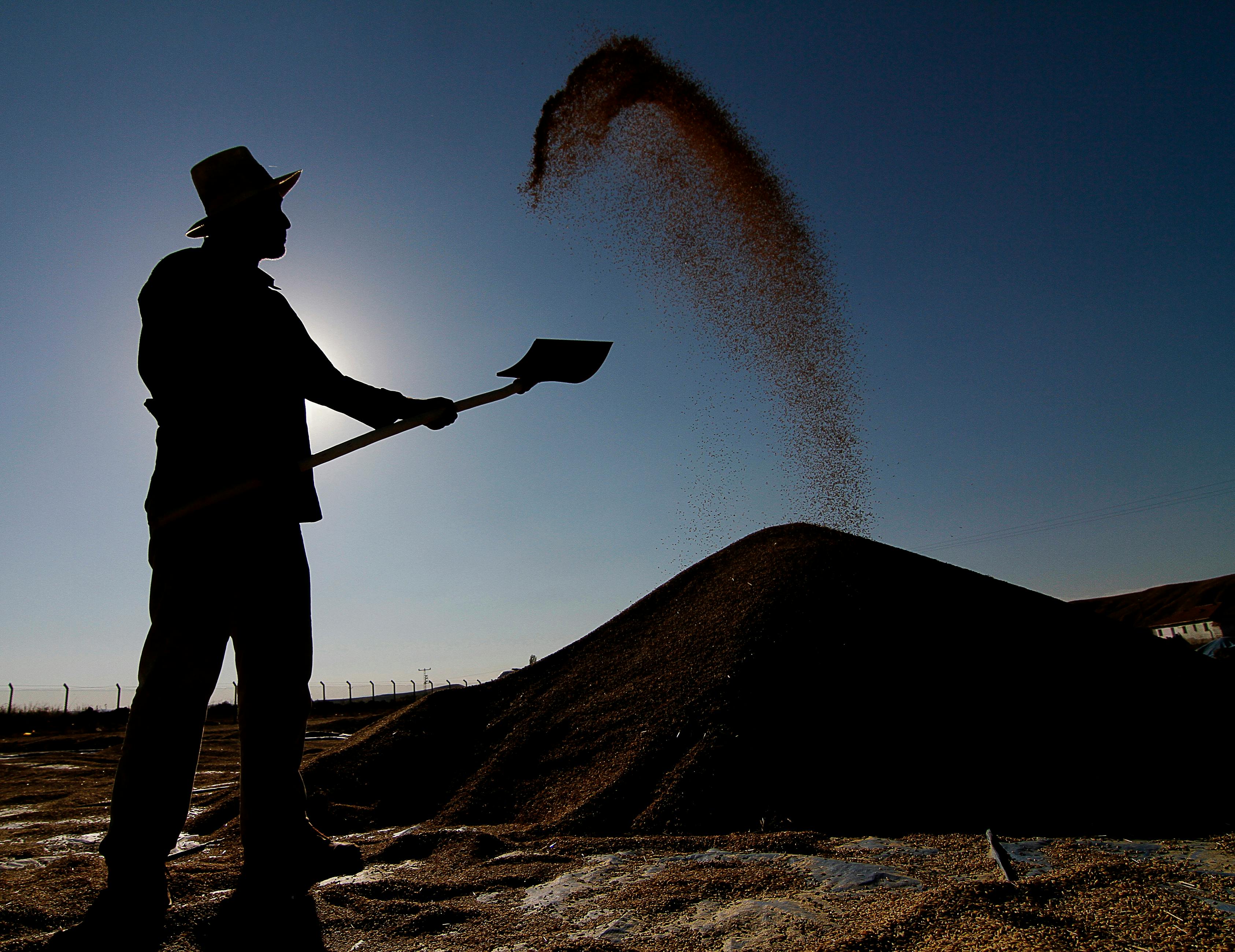 Texas AG investigating General Mills over ‘healthy’ cereal claims — Photo by Fırat KIZTANRI on Pexels