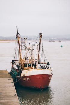 雾天，一艘拖网渔船停靠在港口，海上景象显得格外宁静