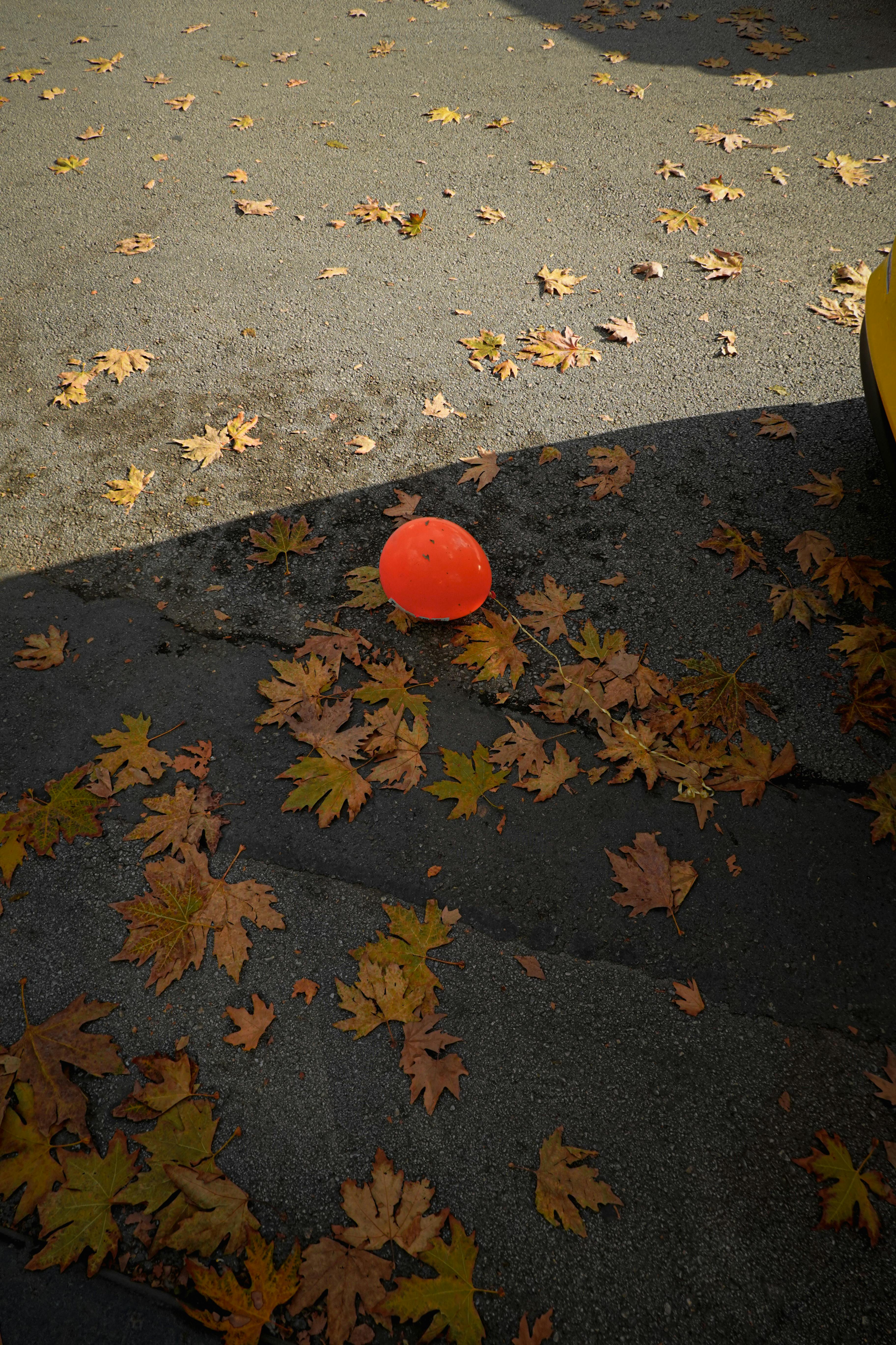 Free Red balloon amidst fallen autumn leaves on a street corner, capturing a playful and nostalgic moment. Stock Photo