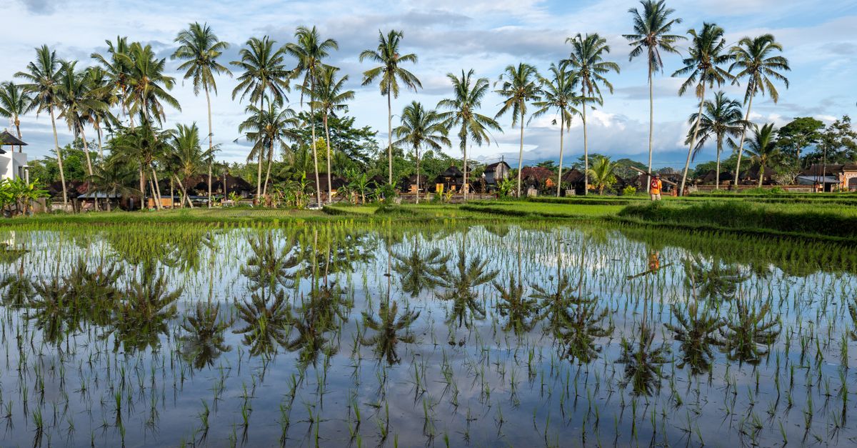 Bali — Long-Term Visa Options for American Retirees