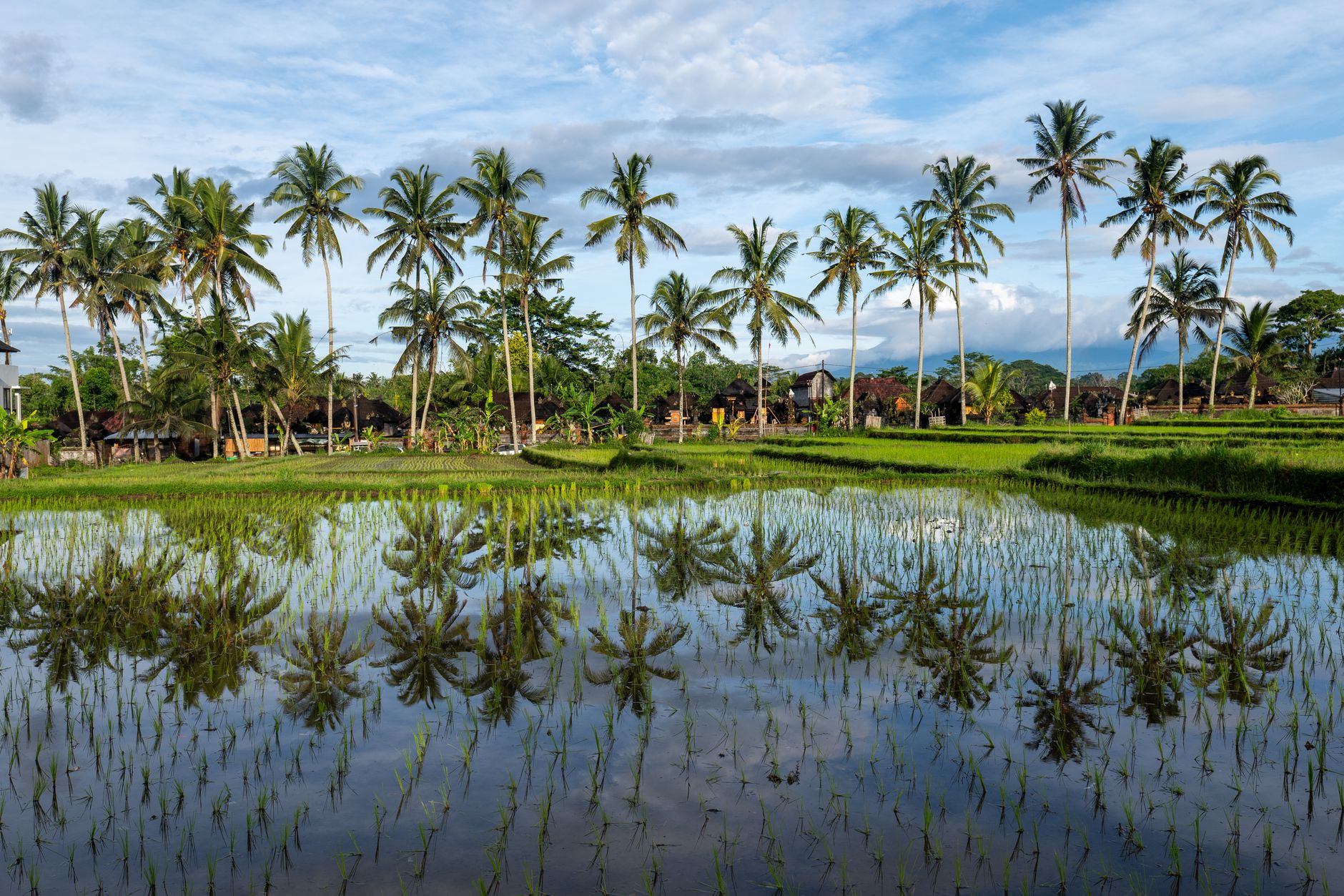 Temukan Hidden Gem di Bali Selain Ubud: Panduan Wisata yang Belum Banyak Diketahui