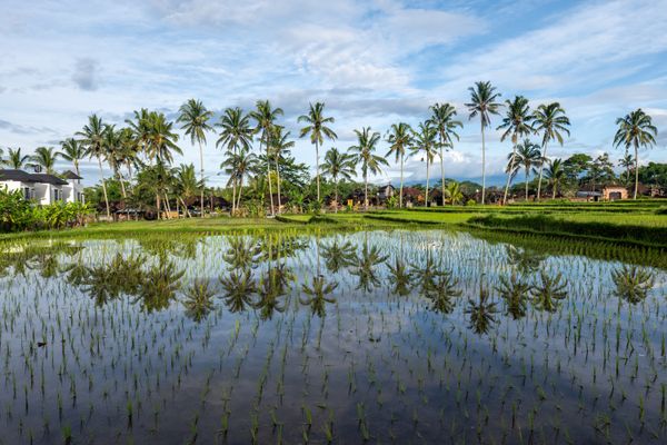 Return flights to Bali from London starting from £441