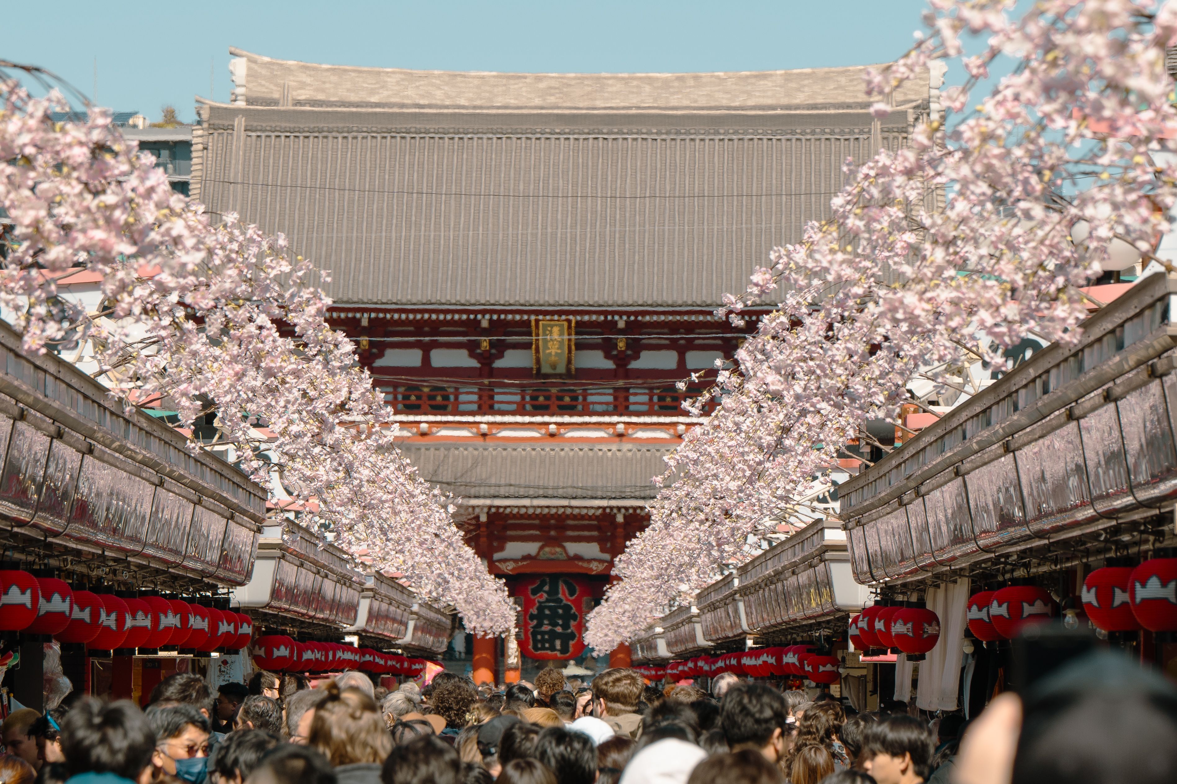 Japan festival