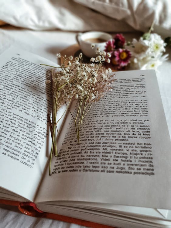 Free From above of opened book with dried flowers and cup of coffee with fresh flowers in bed at morning time Stock Photo
