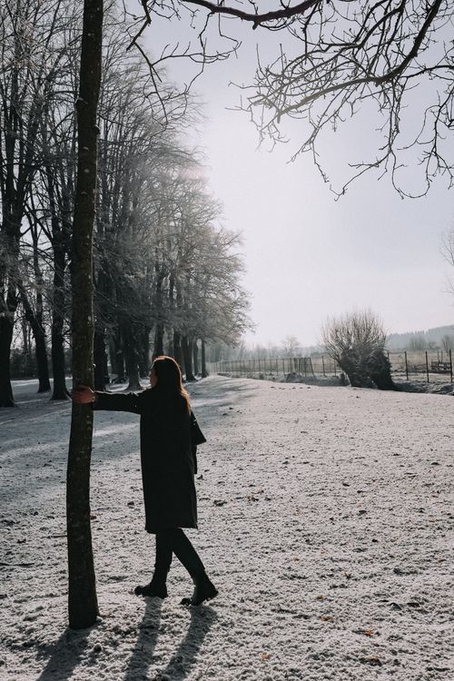 Free A person enjoys a walk in a snow-covered park with bare winter trees. Stock Photo