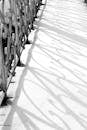 Shadows Cast by Ornate Iron Fencing on Snow