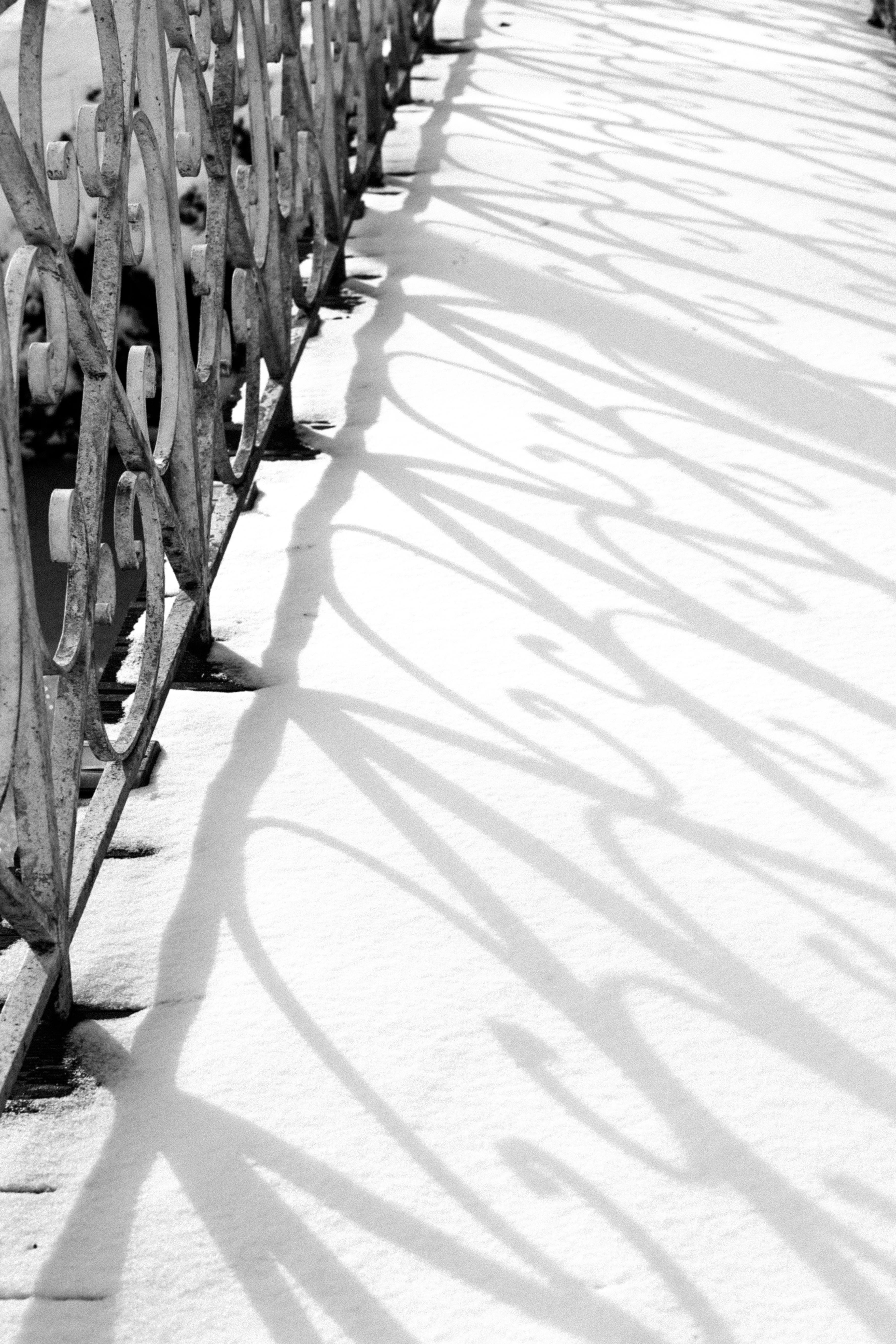 Free Ornate iron fence casting intricate shadows on a fresh blanket of snow. Stock Photo