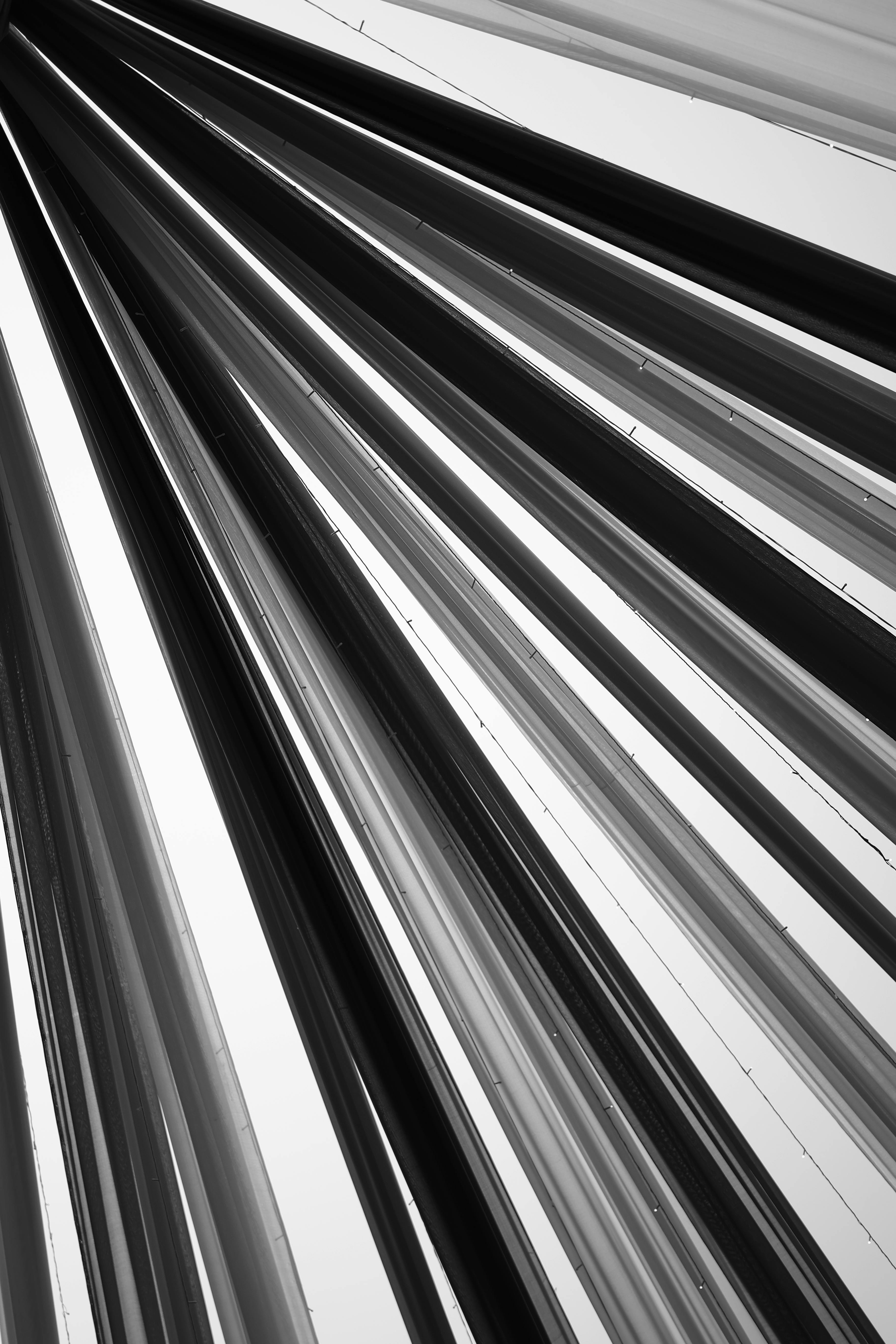 Bezpłatne Dynamiczne, abstrakcyjne linie tworzące wyrazisty czarno-biały wzór geometryczny. Zdjęcie z galerii