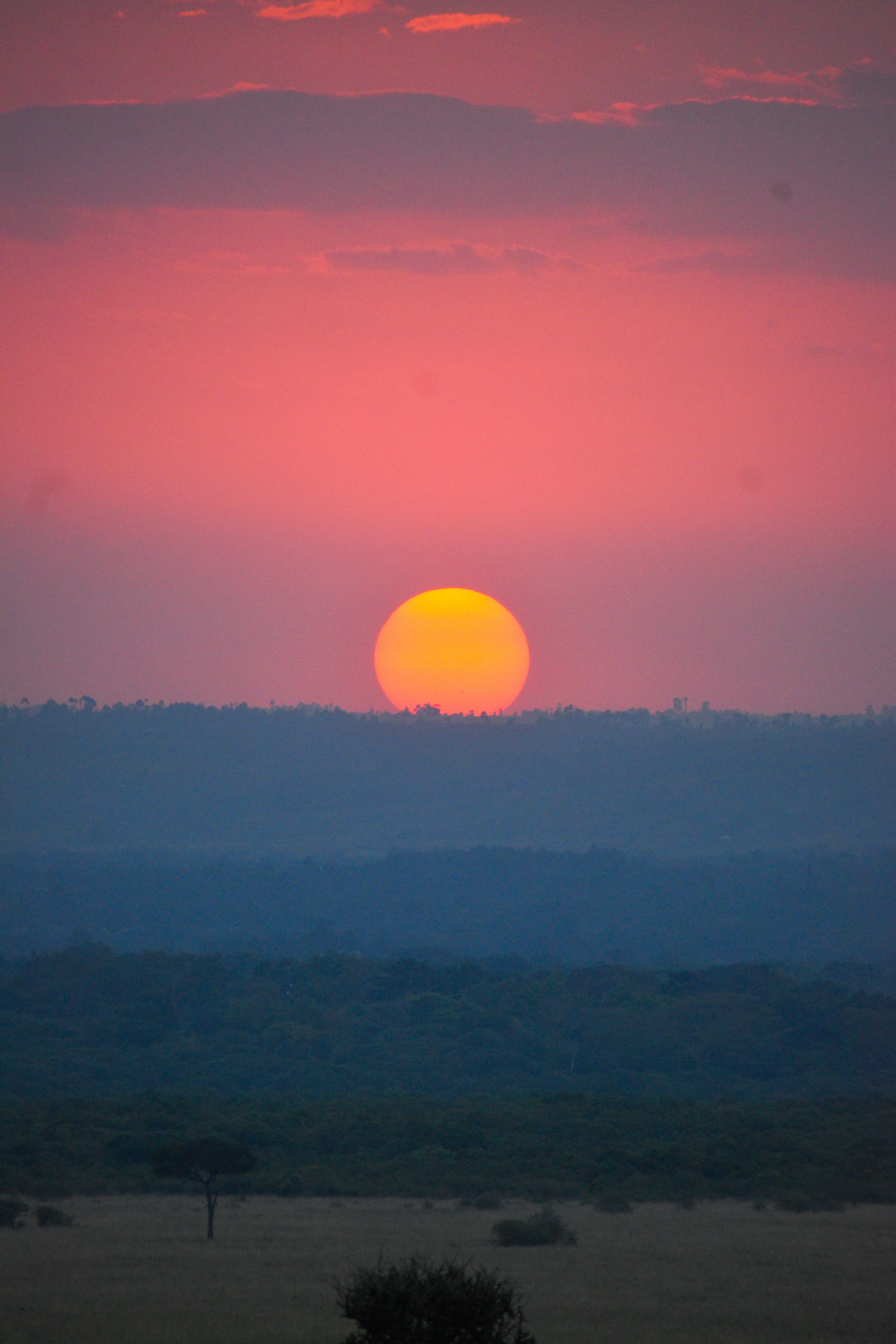 Captivating sunset over African savanna with vibrant colors and serene horizon.