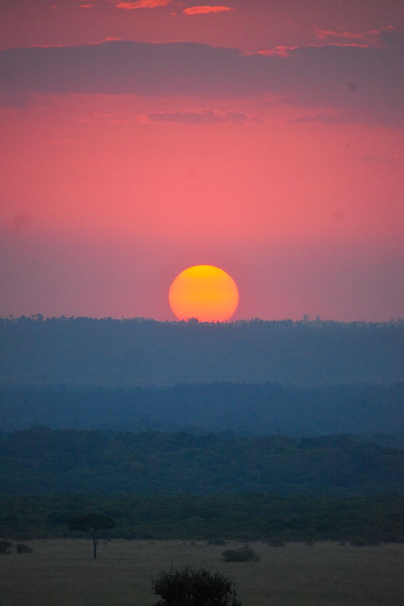 Paisaje de sabana africana al atardecer para Toto - Africa