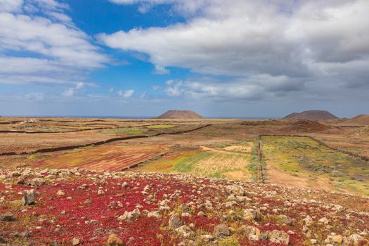 Breathtaking view of Lajares landscape with volcanic mountains and colorful fields under a blue sky.