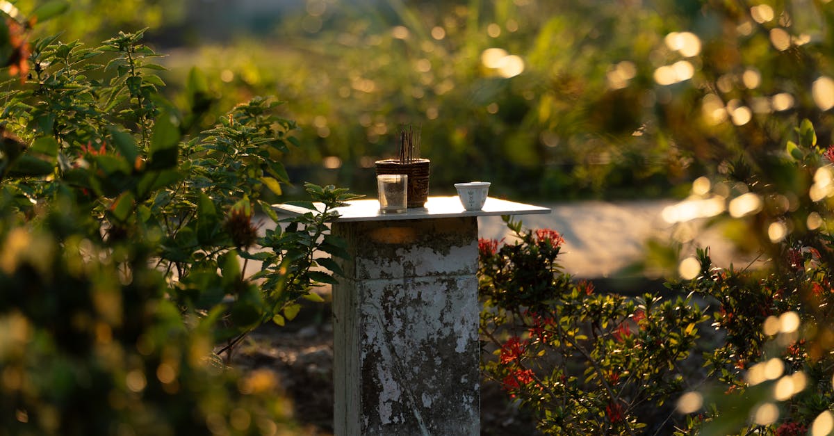 Appliques solaires extérieures : Guide d'achat