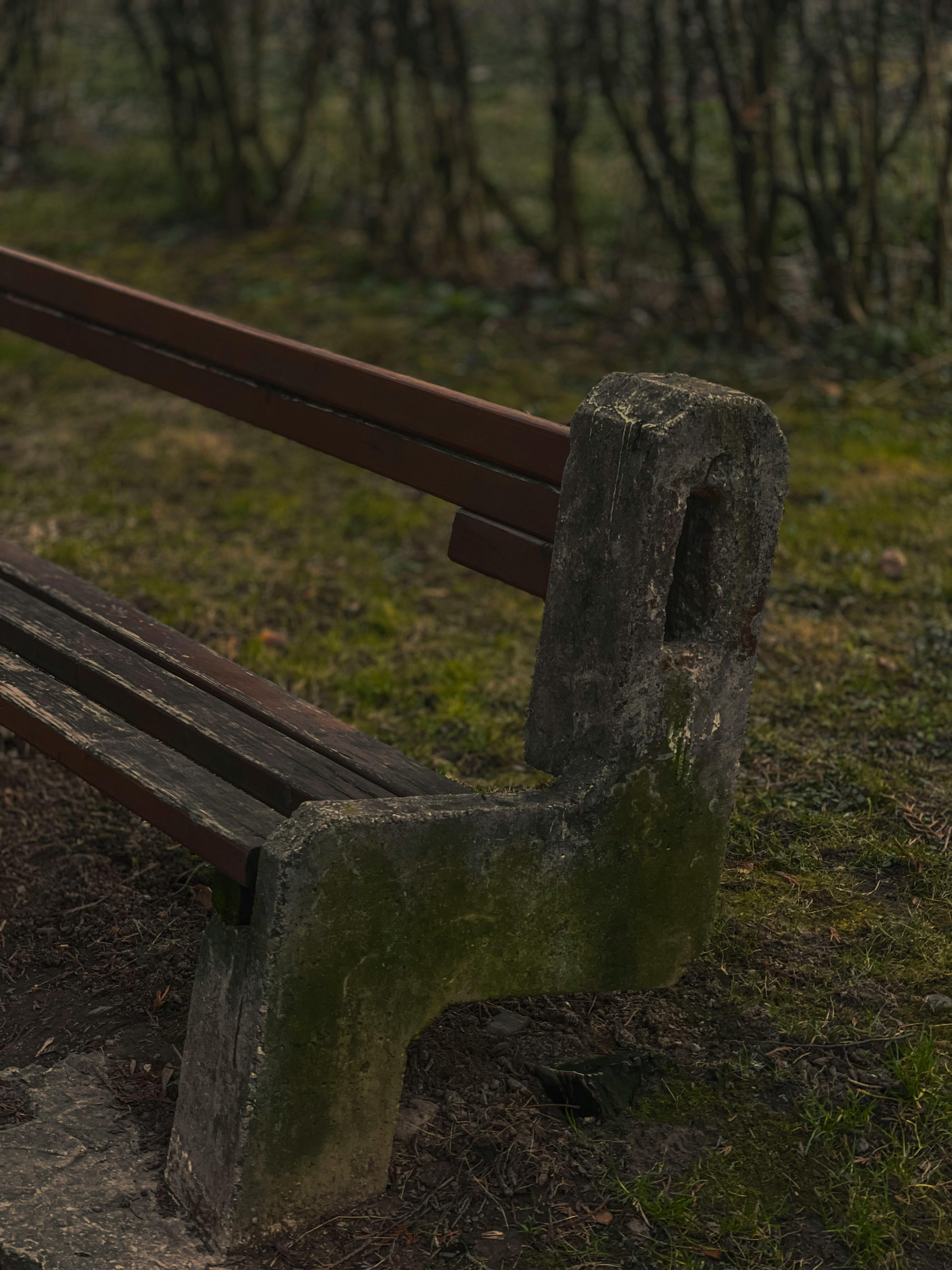 免费 白天，在一片宁静的树林中，一条老旧的木长椅和长满青苔的水泥地面静静地伫立着。 素材图片