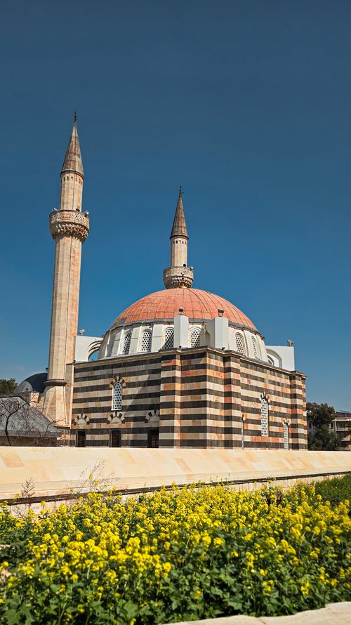 Free A scenic view of an Ottoman-style mosque with yellow flowers in the foreground. Stock Photo