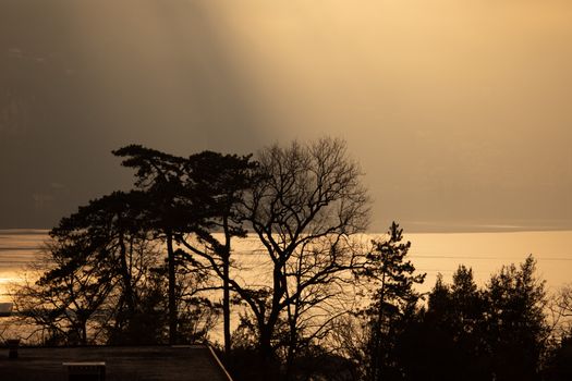 Silhouettes of trees at sunset over Lake Lugano, Ticino providing a serene view.
