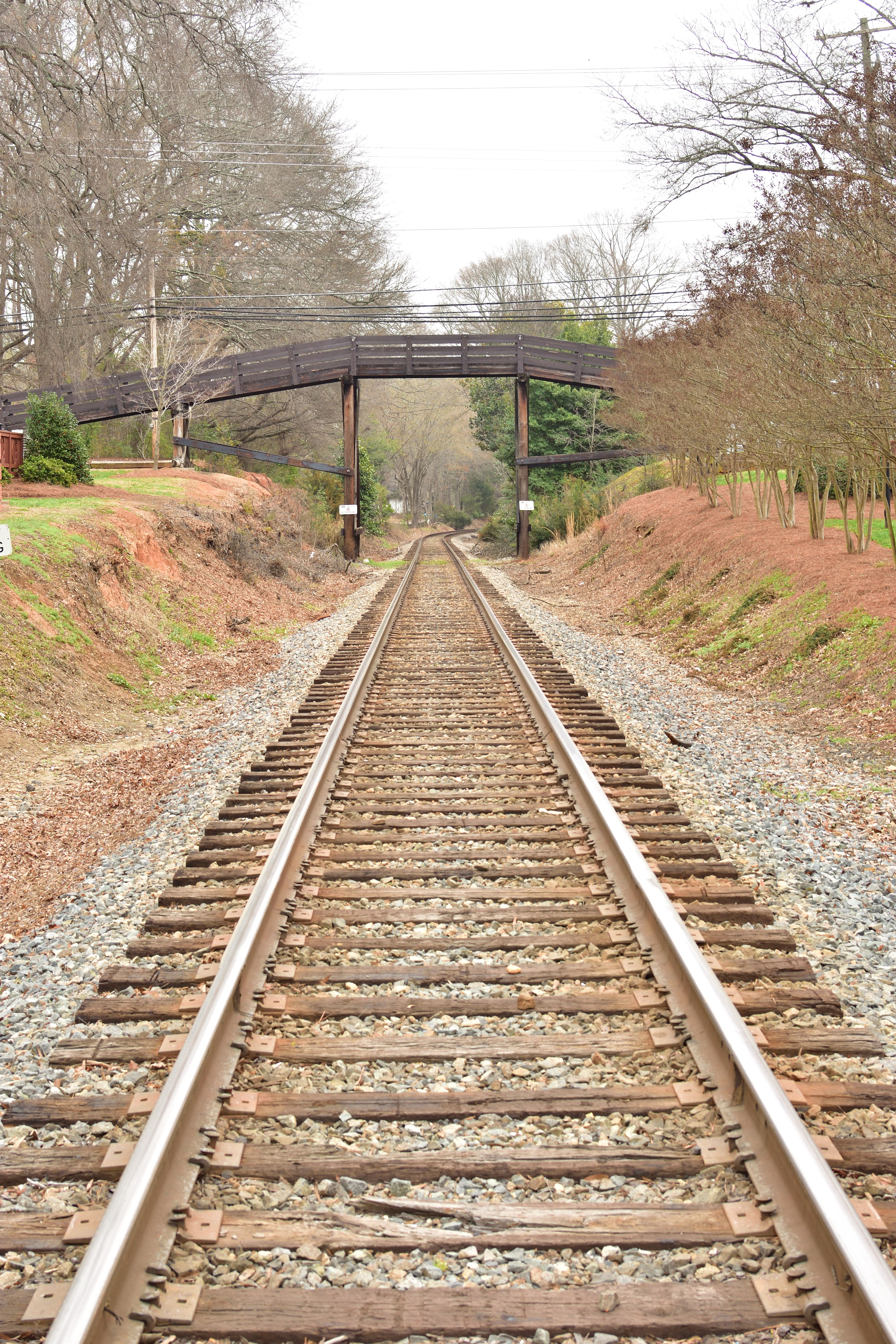 Rustic Railway Tracks in Scenic Waxhaw · Free Stock Photo