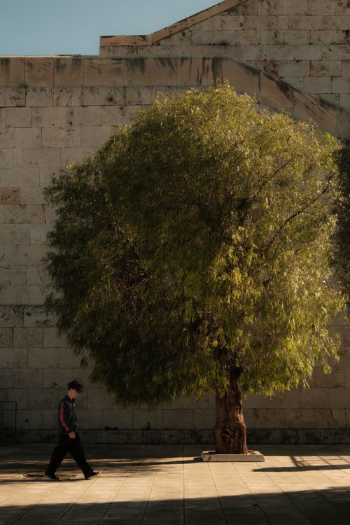 Free A man walks by a lush tree against a rustic stone wall in Athens, Greece. Stock Photo