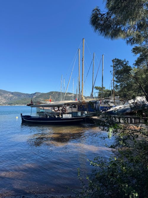 Free Beautiful summer day with sailboats docked by the shore, surrounded by lush greenery in Turkey. Stock Photo