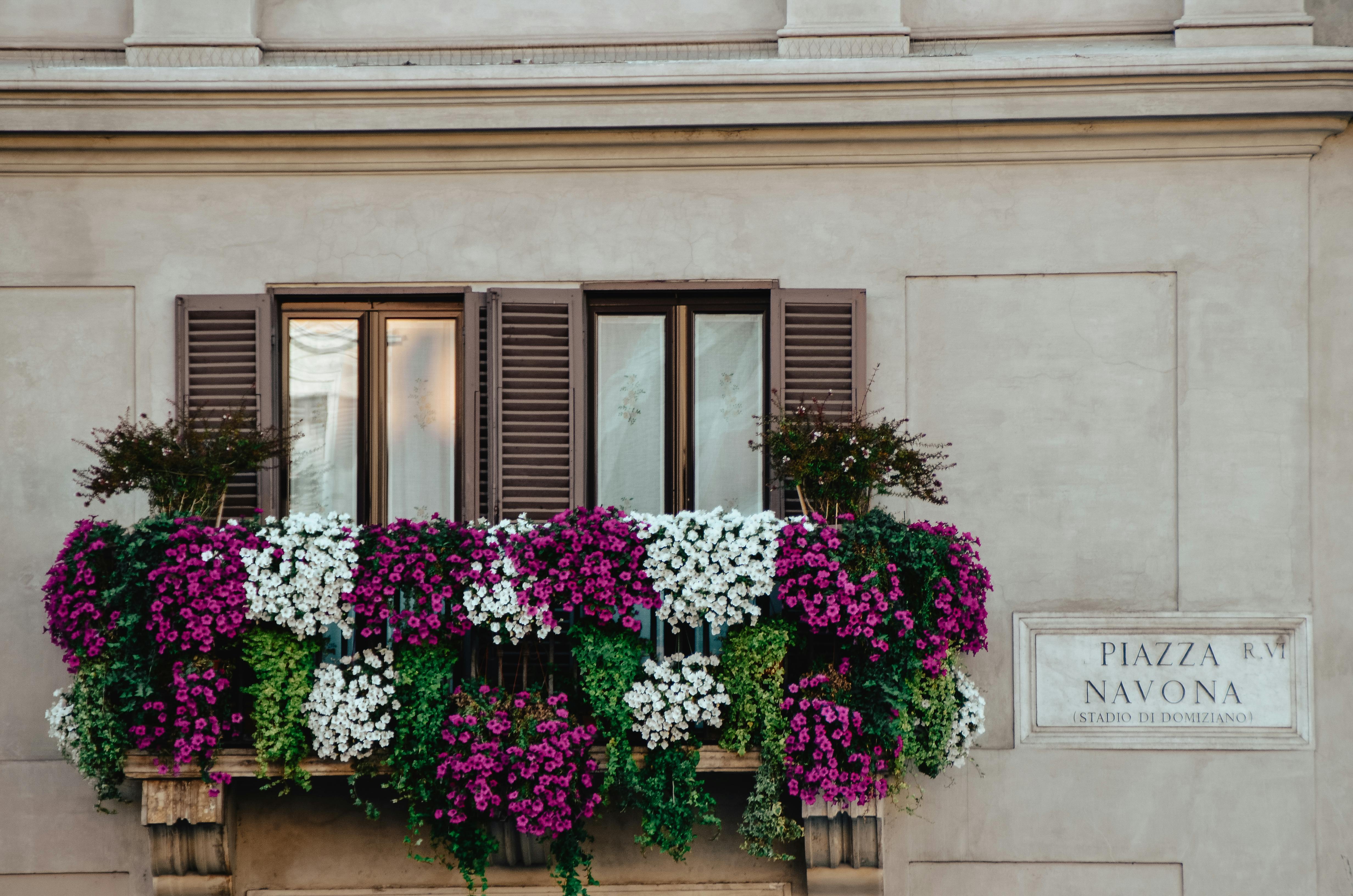 die 12 besten blumenk&auml;sten im aktuellen vergleich 03/2026 Vergleich