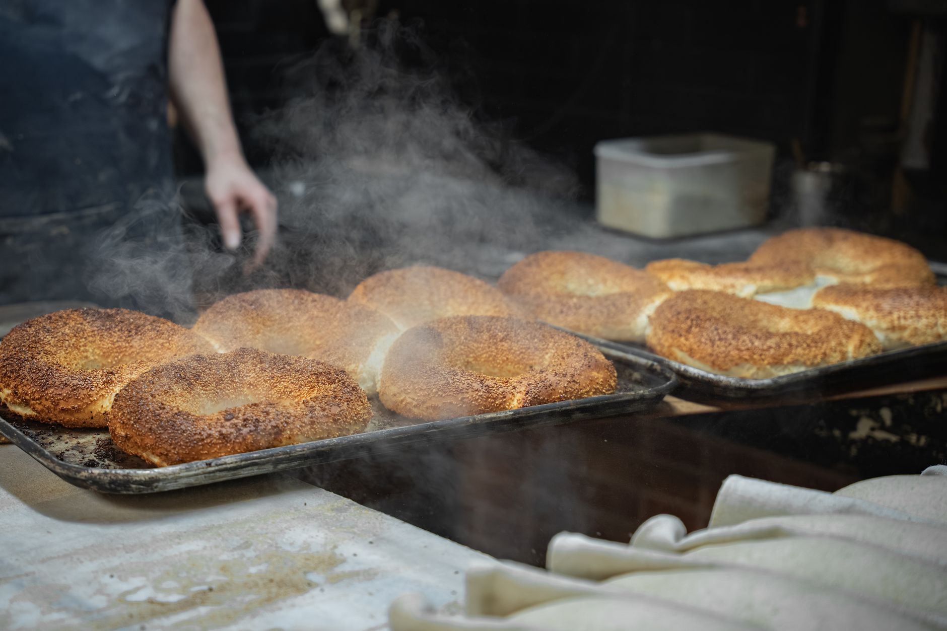 PopUp Bagels Set to Open in Brickell This Summer