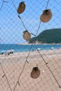 Ornamental Seashells on Fishing Net in Summer