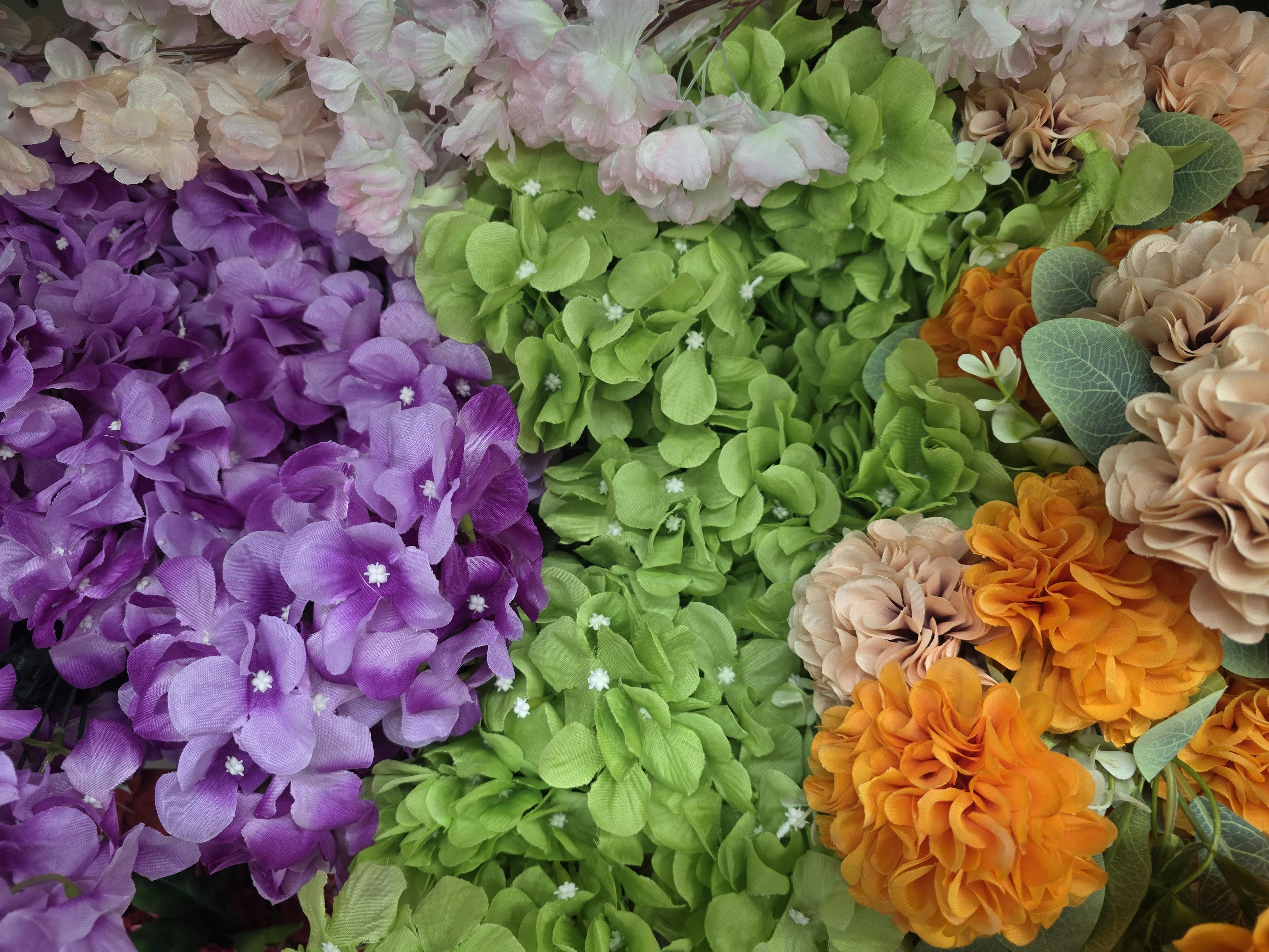 [ColoSach]-a-colorful-assortment-of-hydrangeas-and-other-flowers-in-full-bloom.