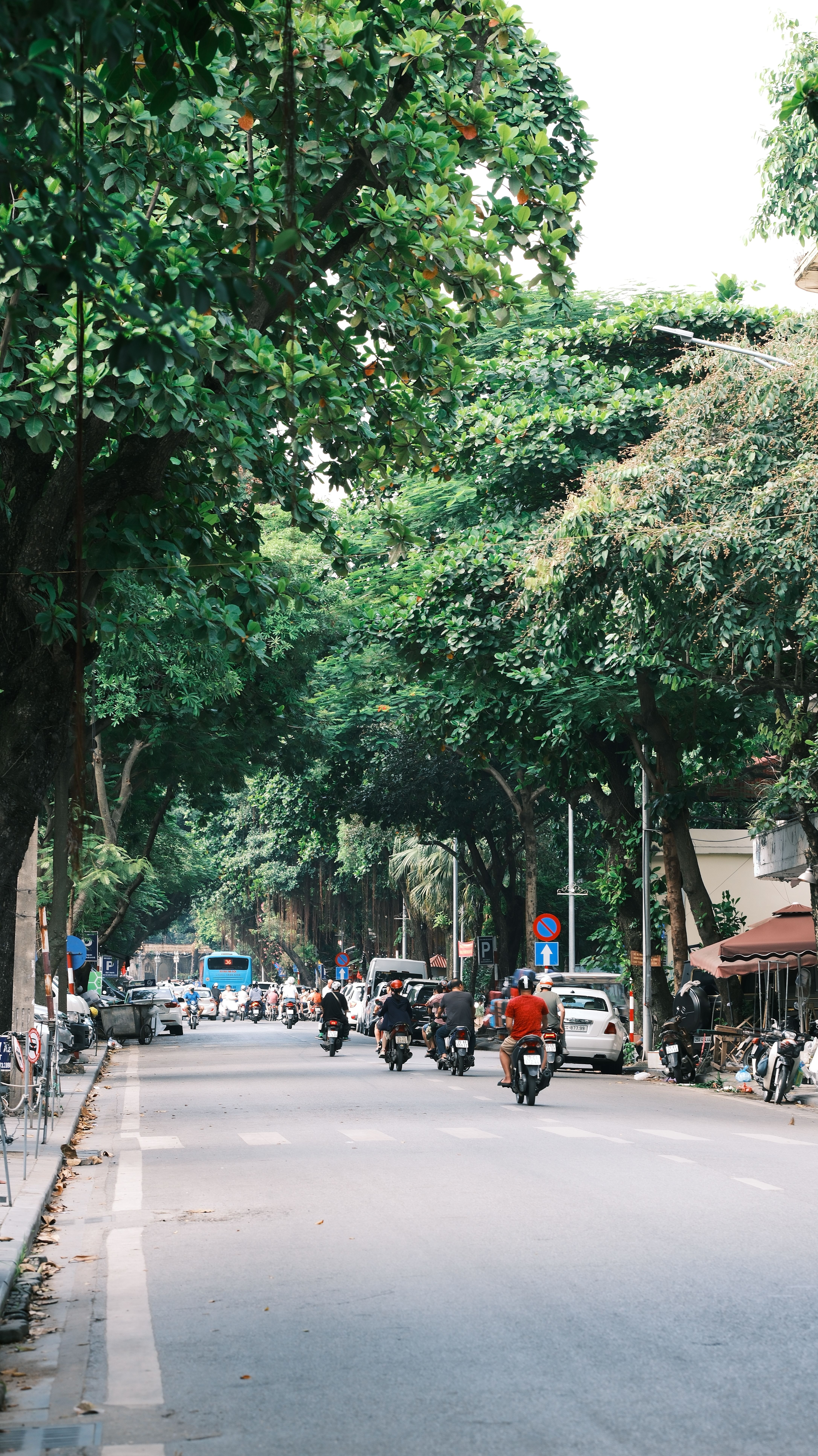 A bustling city street lined with green trees and motorbikes capturing urban life.