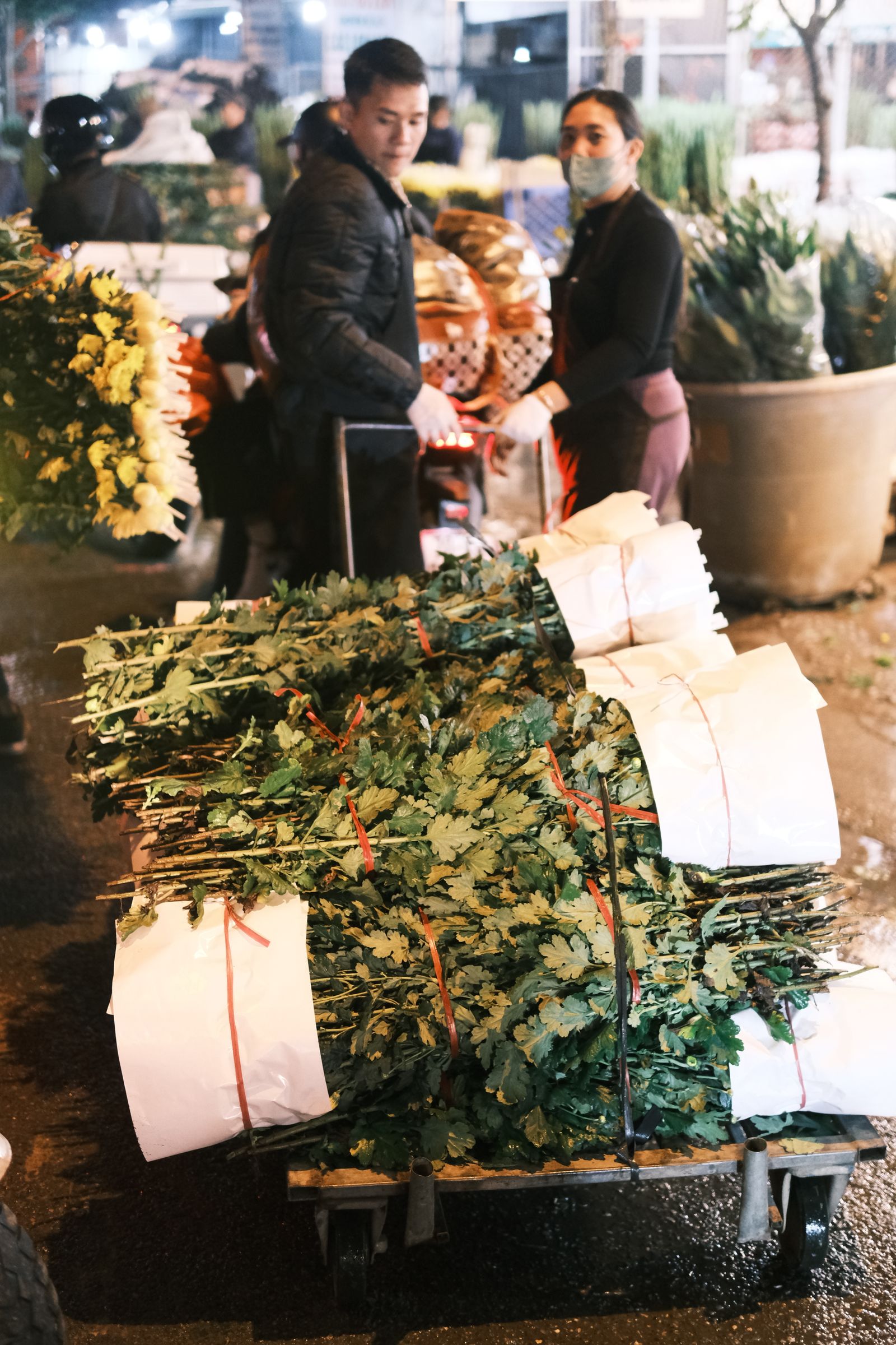 Night scene at a flower market with fresh chrysanthemum bundles